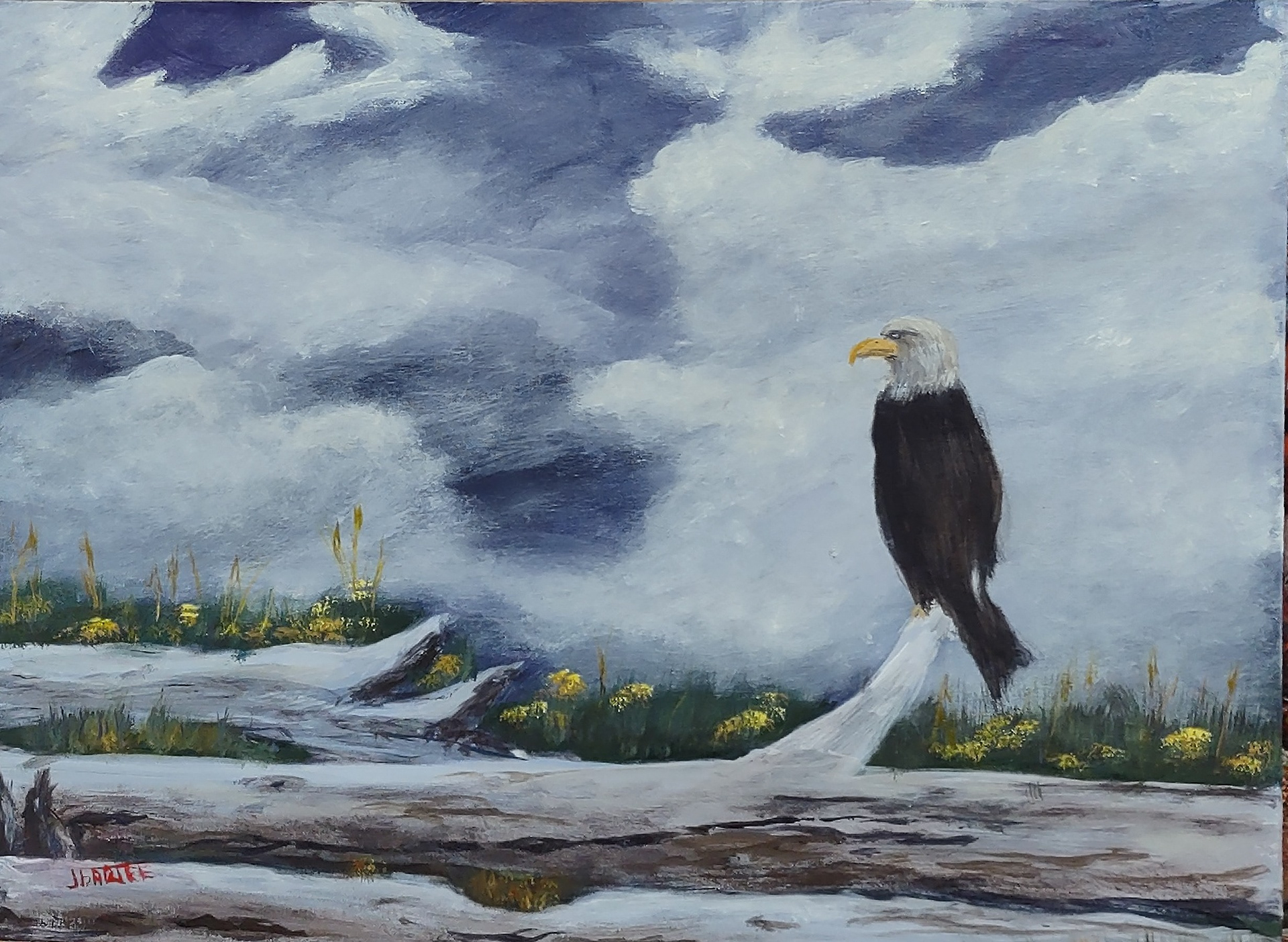 2025-13 16x12 Acrylic