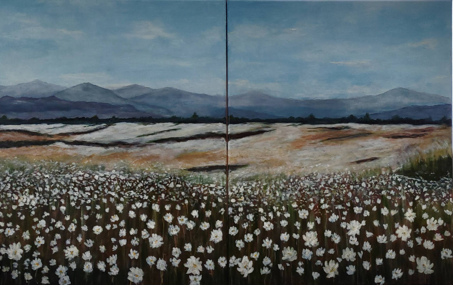 N/A 2025-18 22x28x2 Acrylic