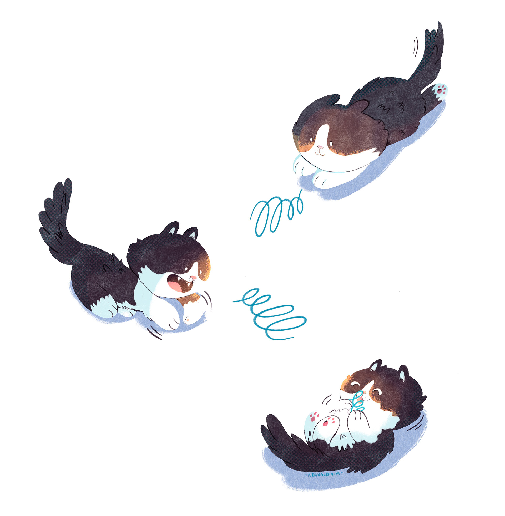 Poncho - Personal Project