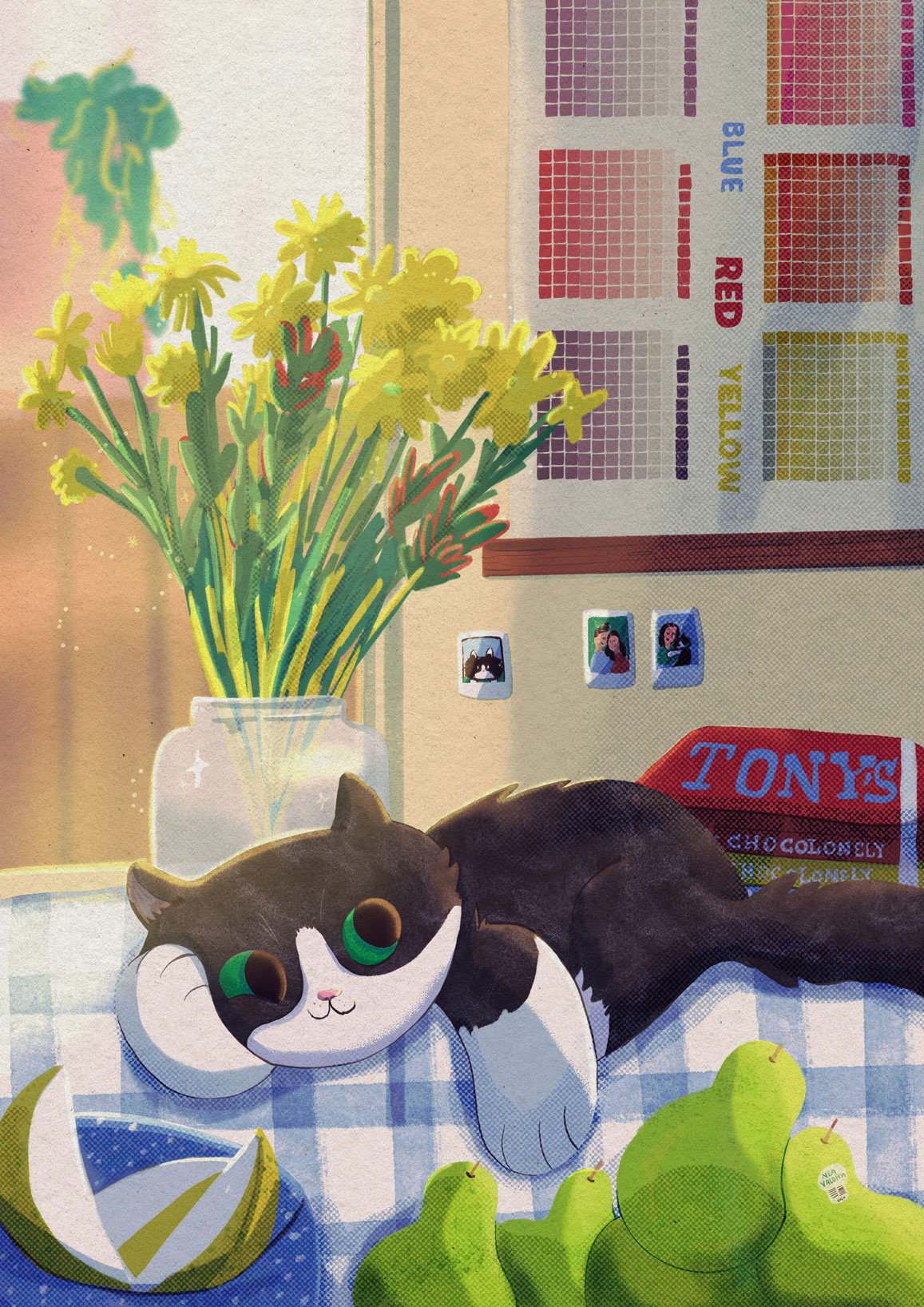 Poncho still life - Personal Project