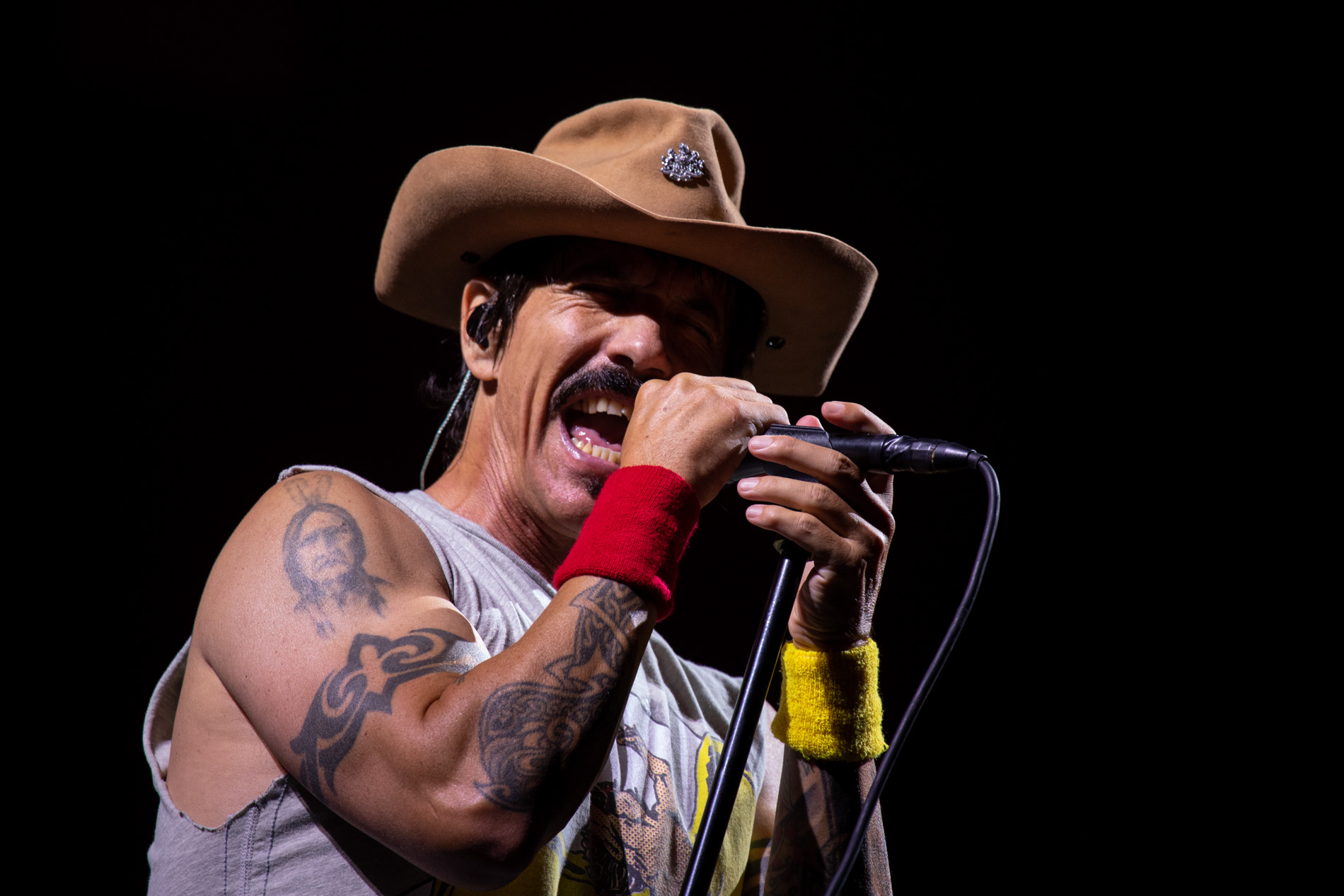 Red Hot Chili Peppers, 2019