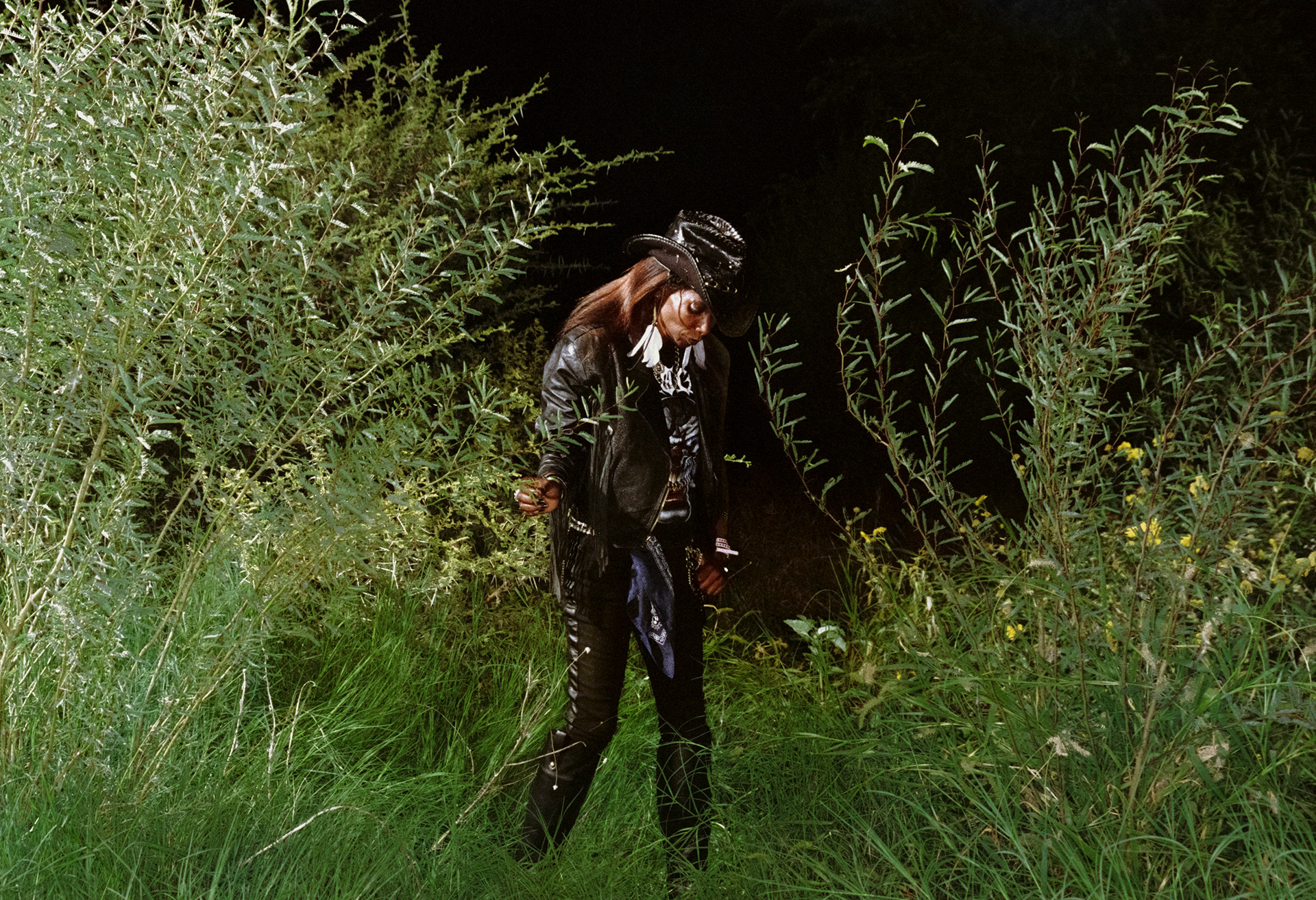 Phoenix Tonahs Slaughter - Ghanzi, Botswana