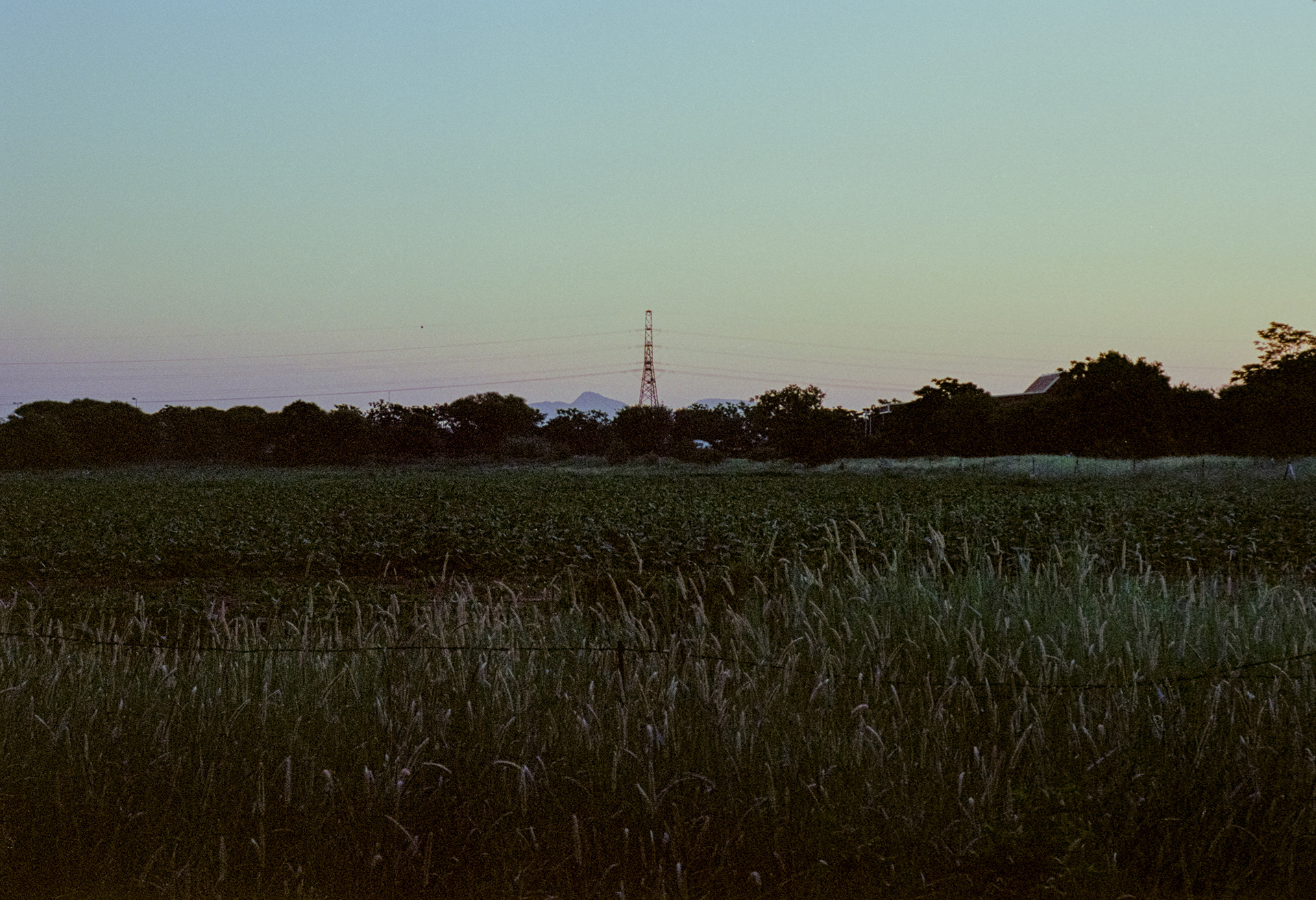 Green Field - Gaborone, Botswana