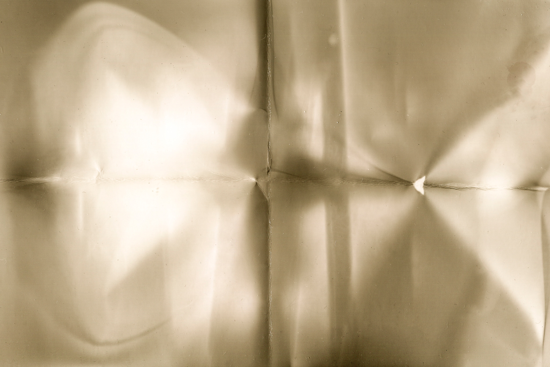 Fotogram - developed with green tea (2024)
