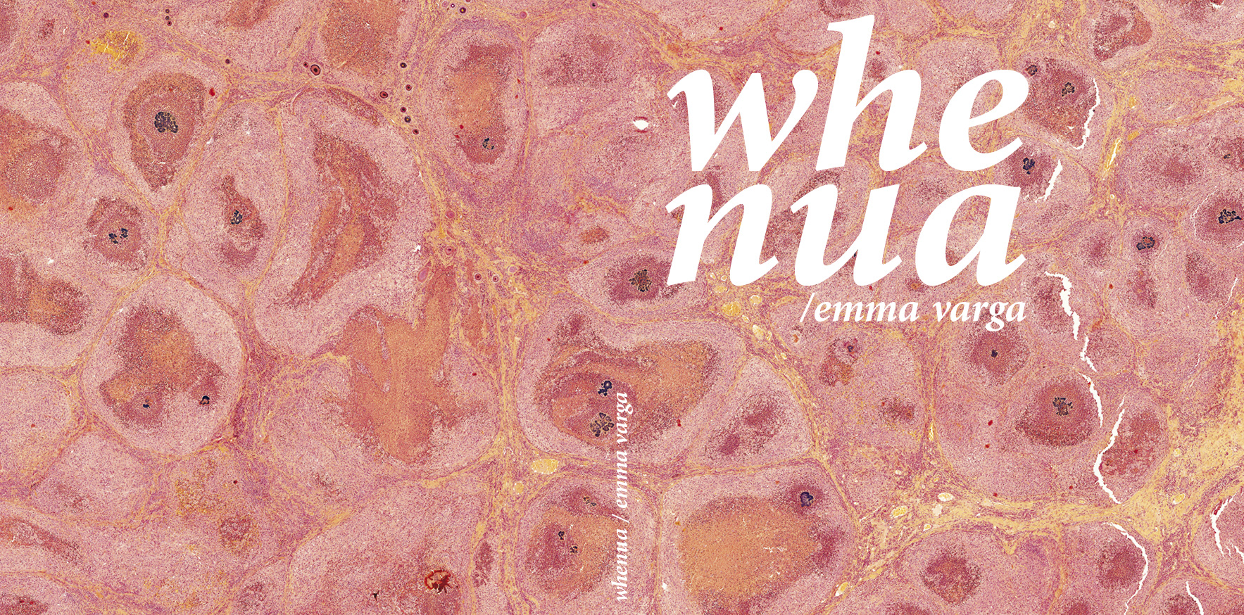 / cover