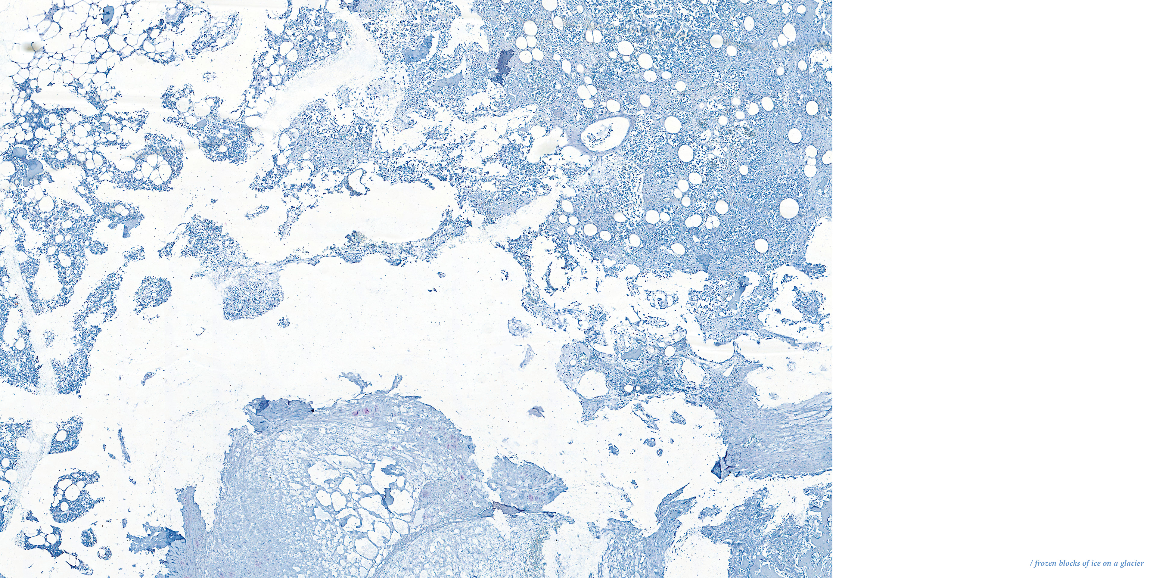 / frozen blocks of ice on a glacier