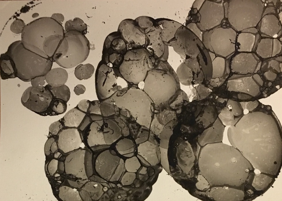 Absquatulate apoptosis 01. Ink on paper. 15 x 21 cm. SOLD.