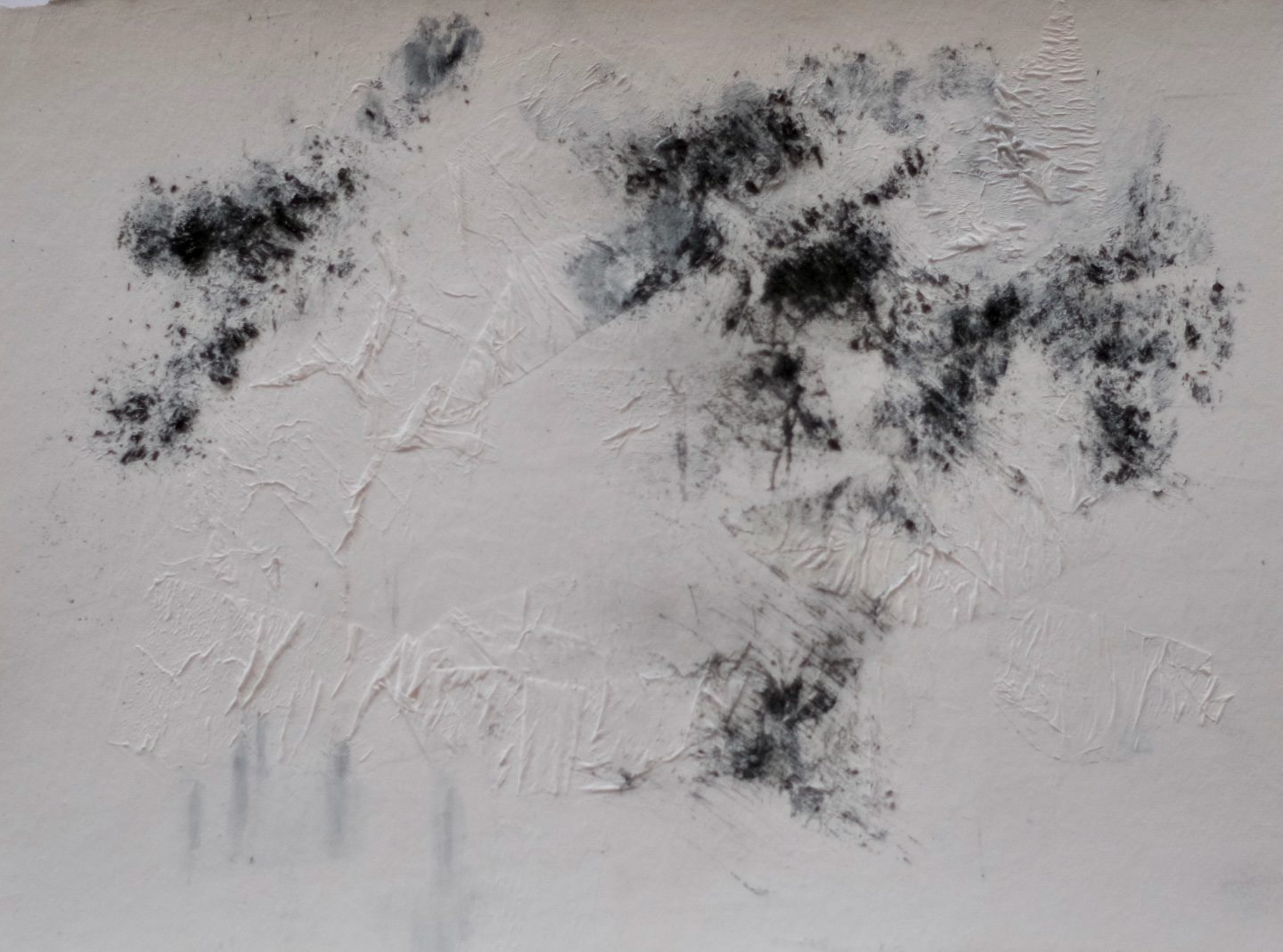 Halcyon III. Coal, acrylic, tissue on paper. 30 x 40 cm.