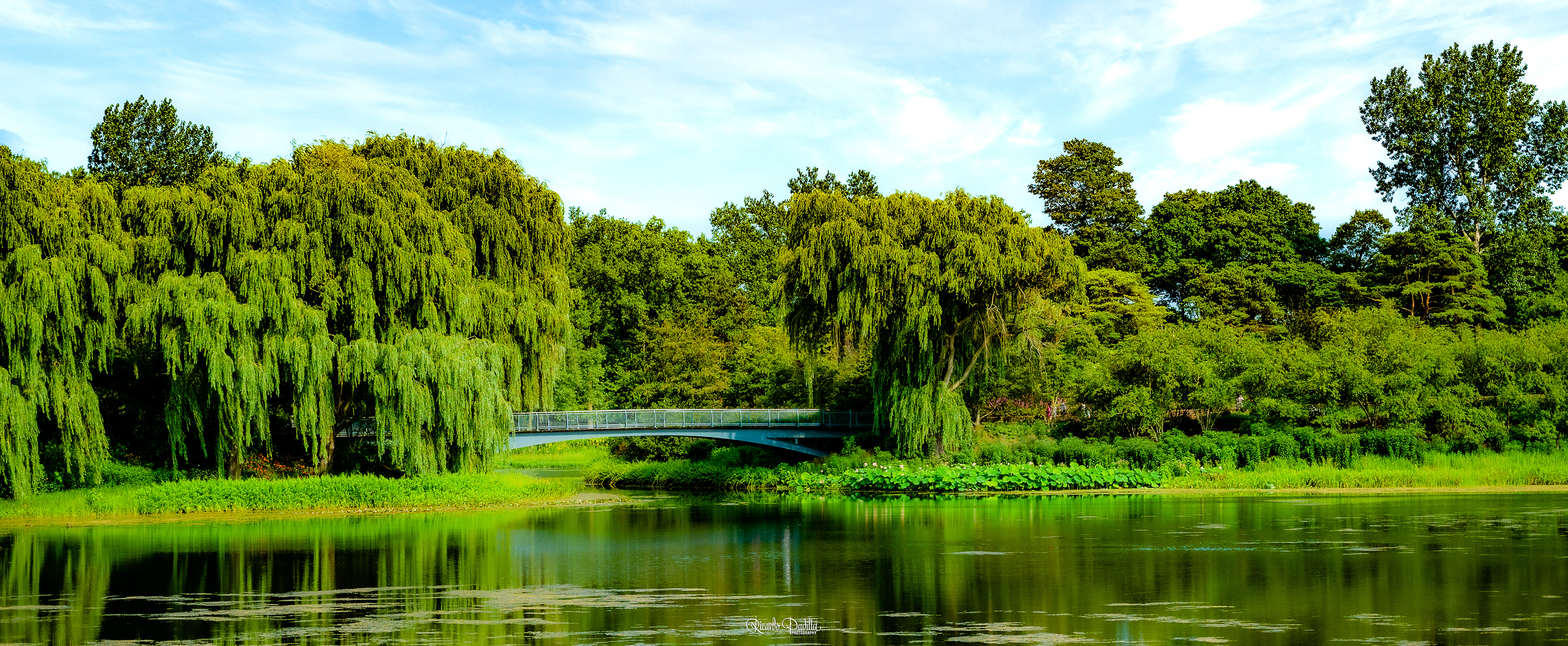 Chicago Botanical Garden