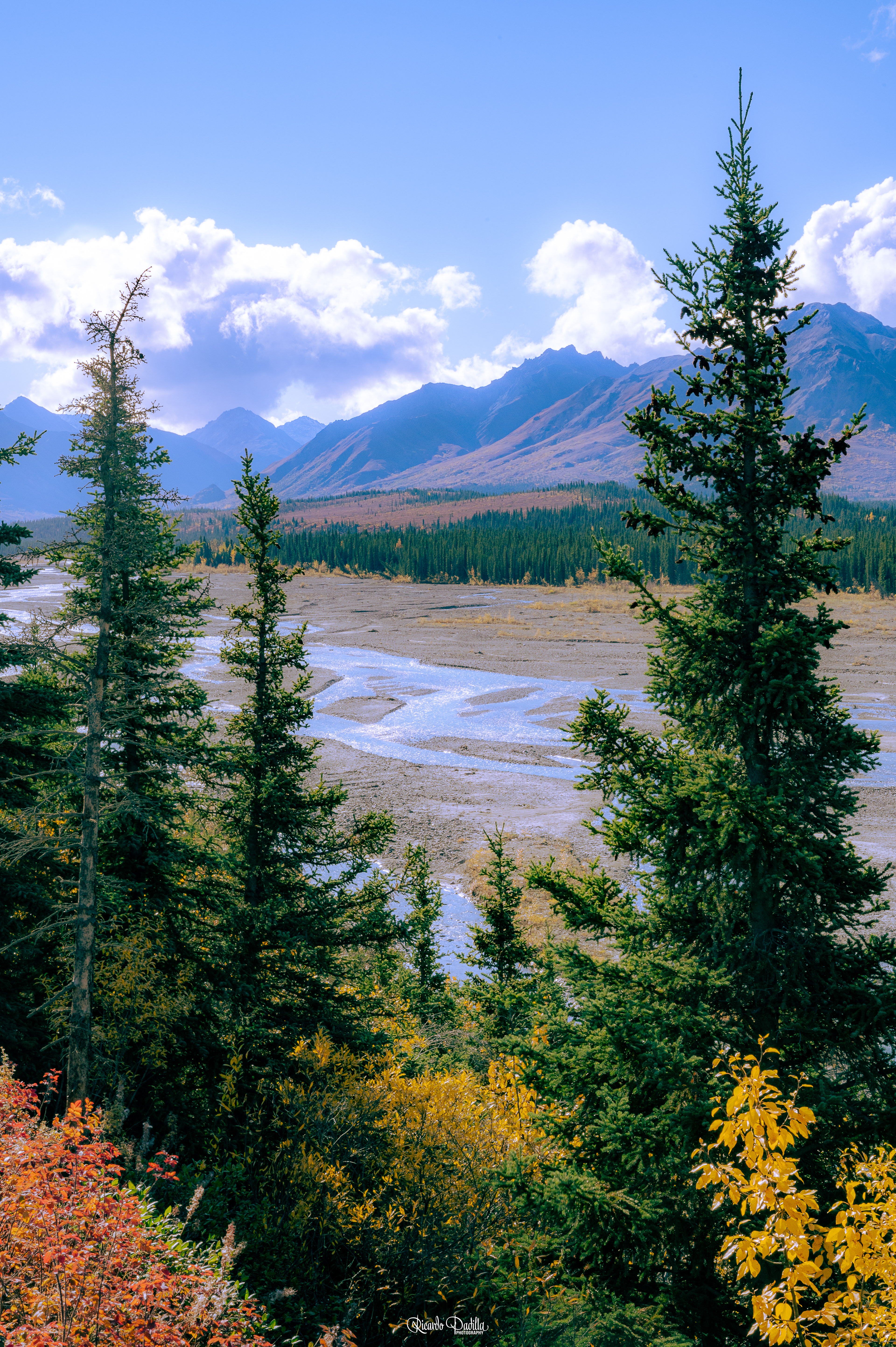 Denali National Park