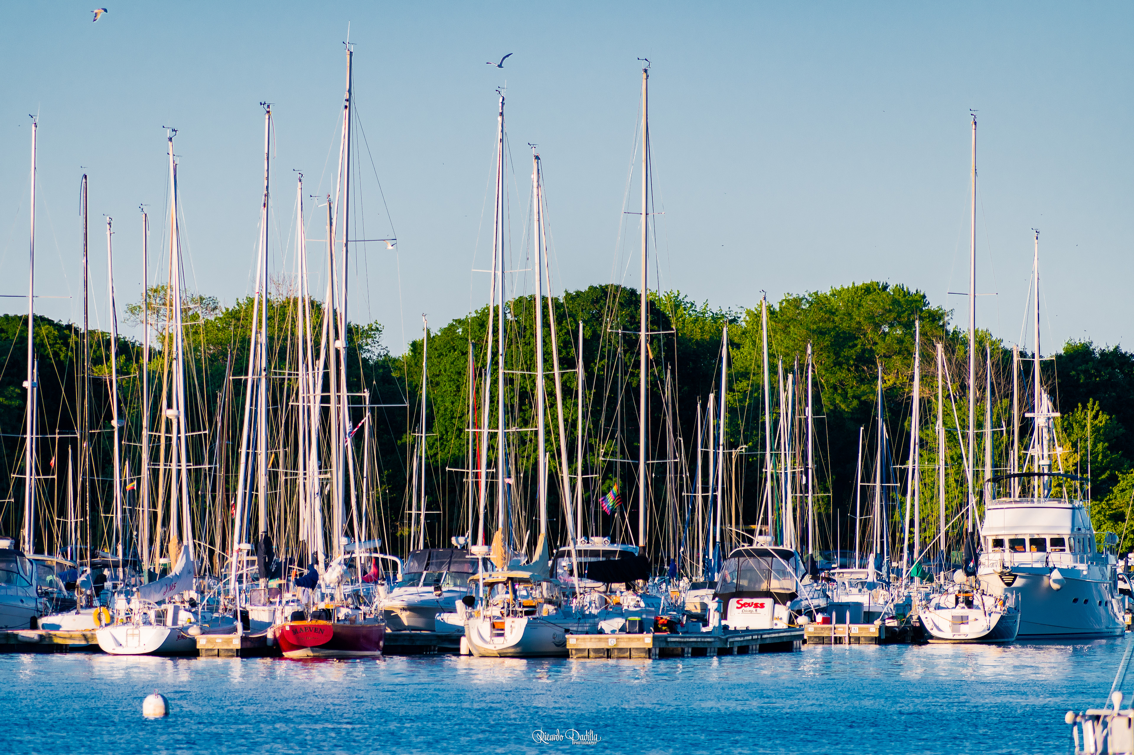 Montrose Harbor