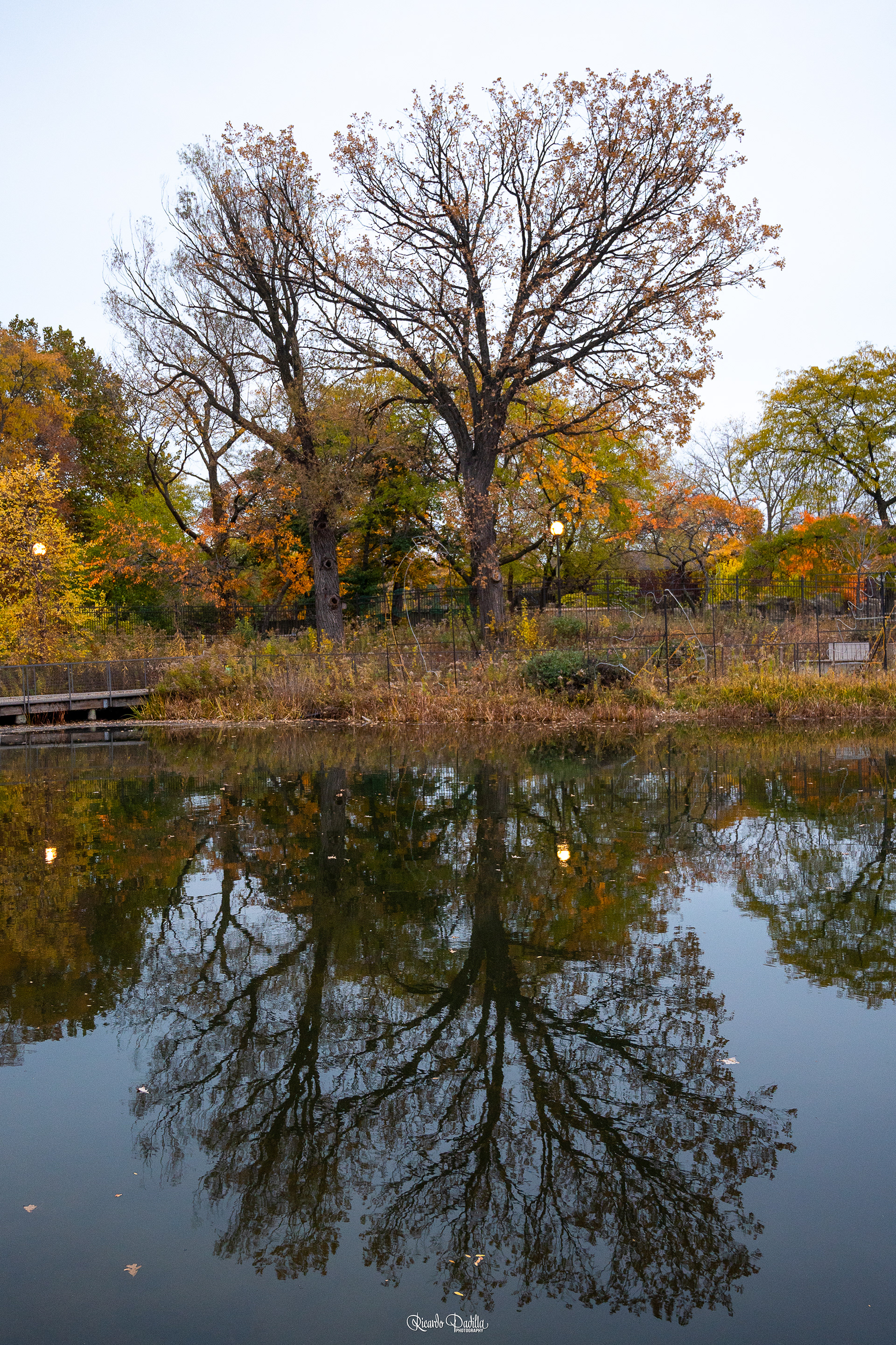 Lincoln Park
