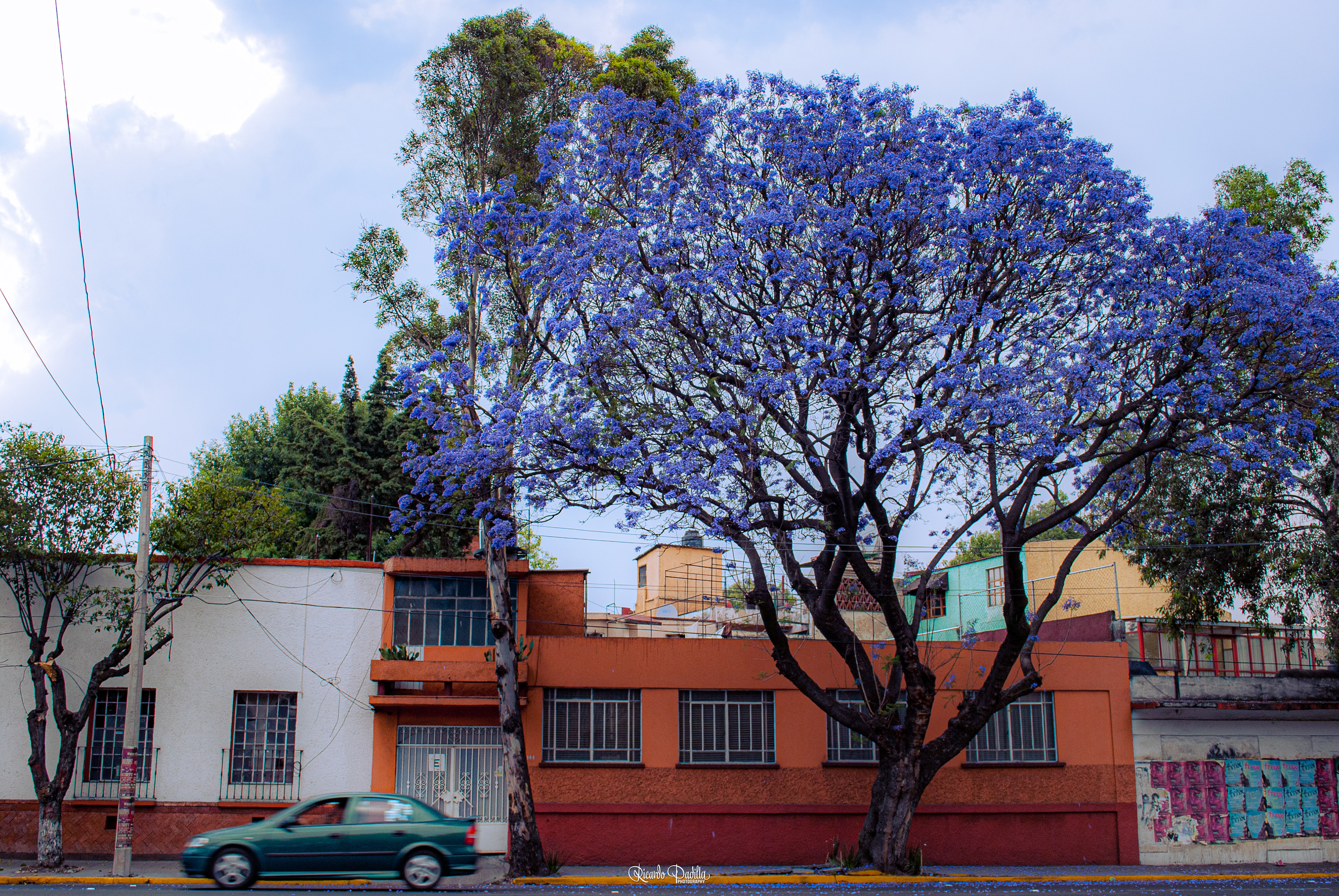 Coyoacan