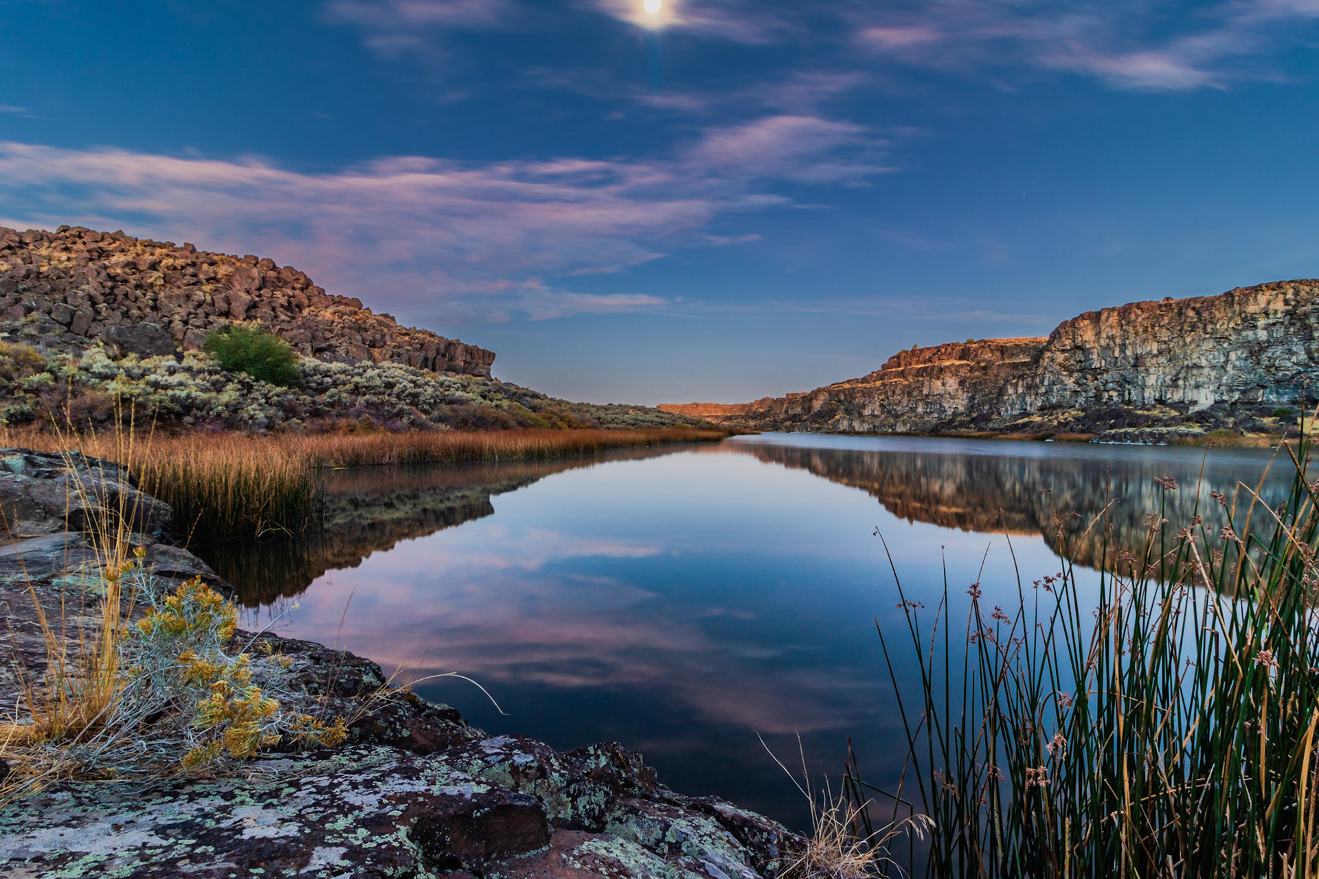 Moonlit Calm
