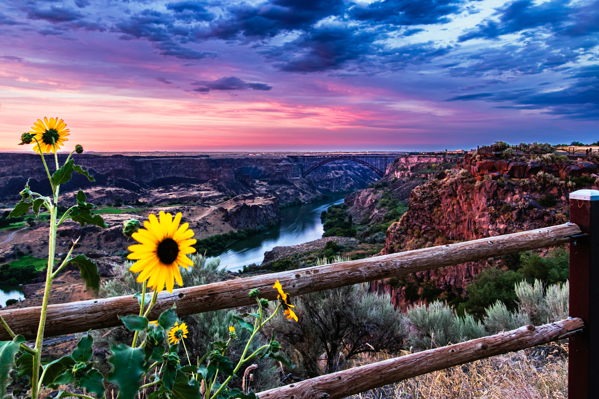 Perrine Bridge Sunflowers and Sunset