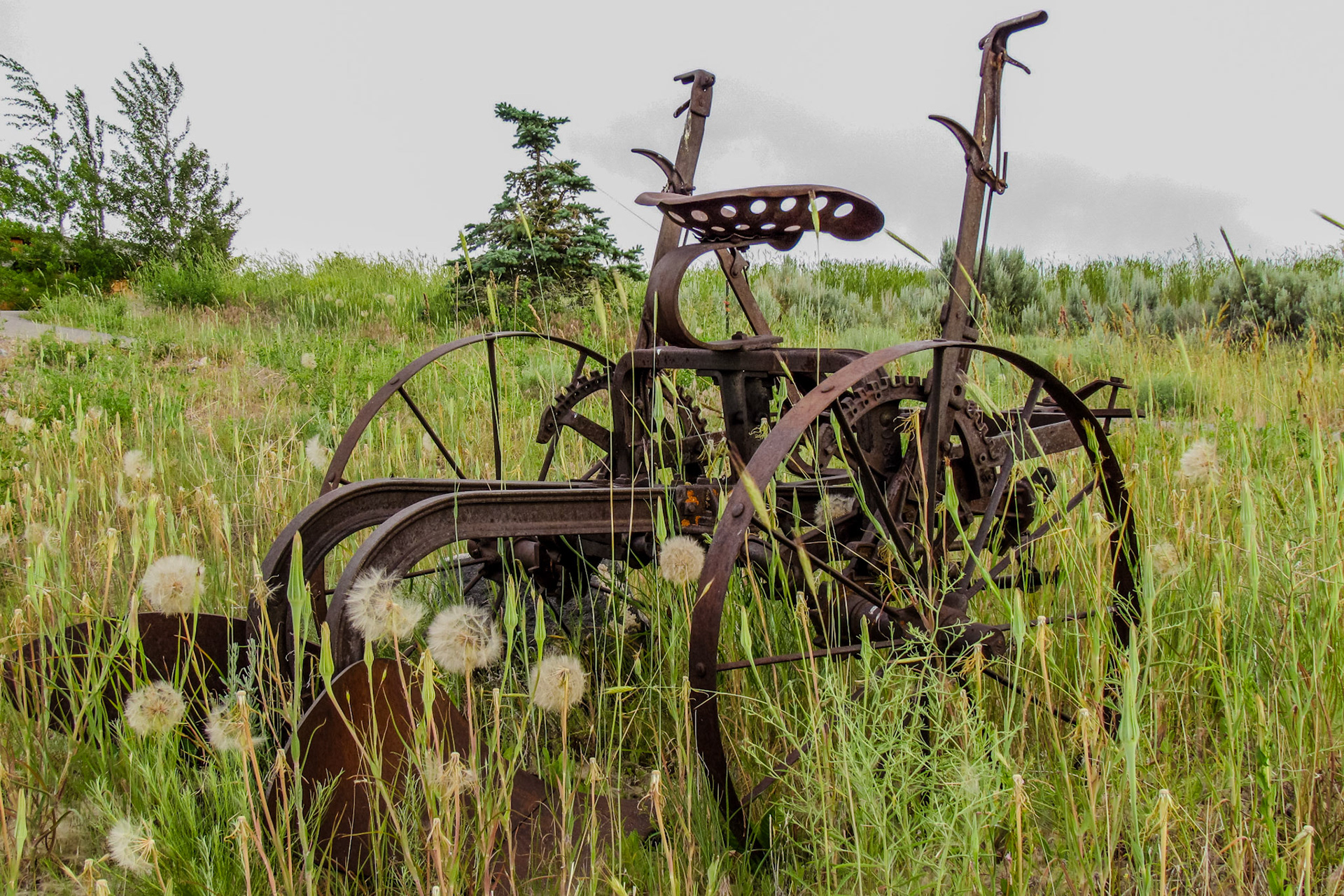 Antique Plough