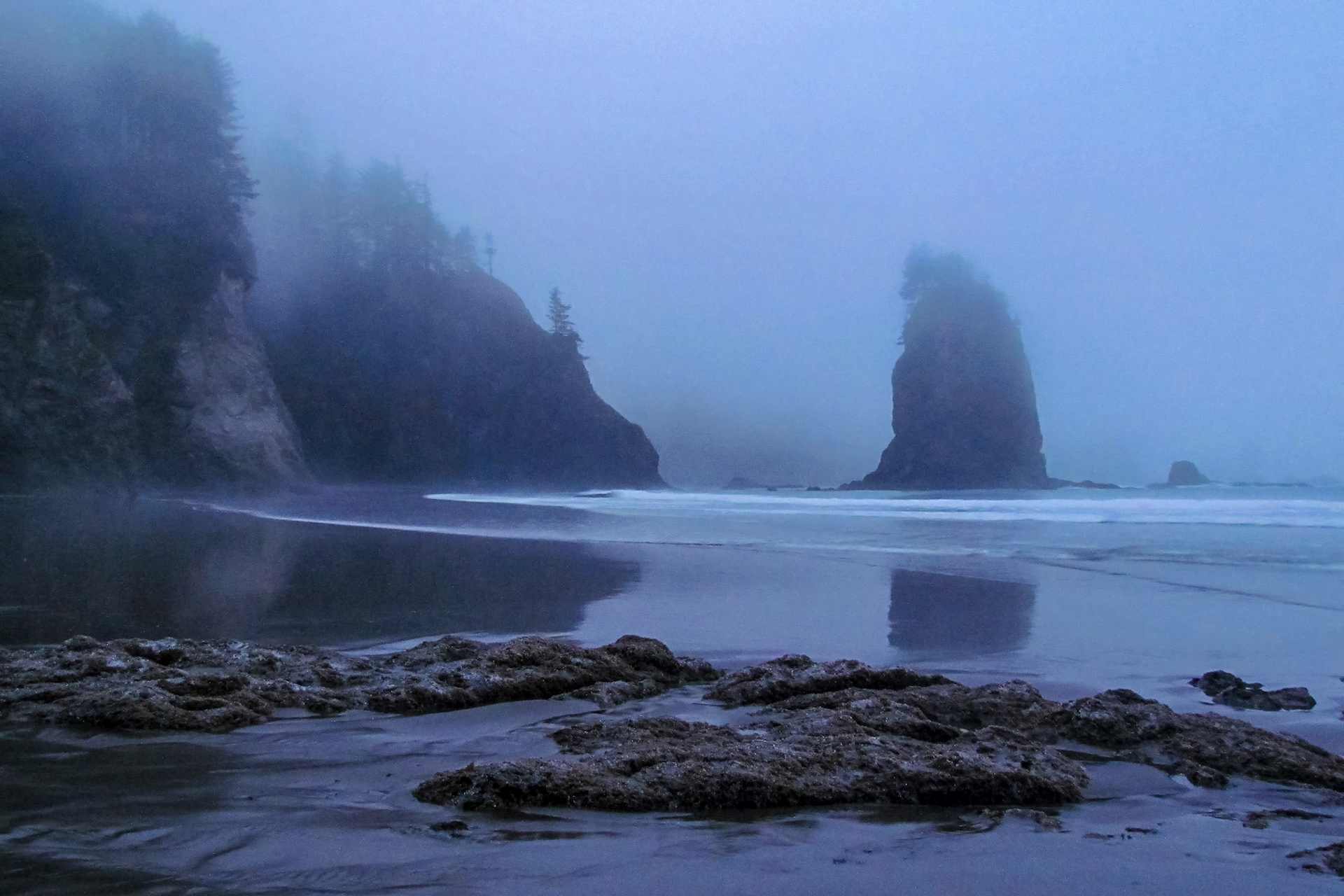 Early morning sea stack at La Push WA