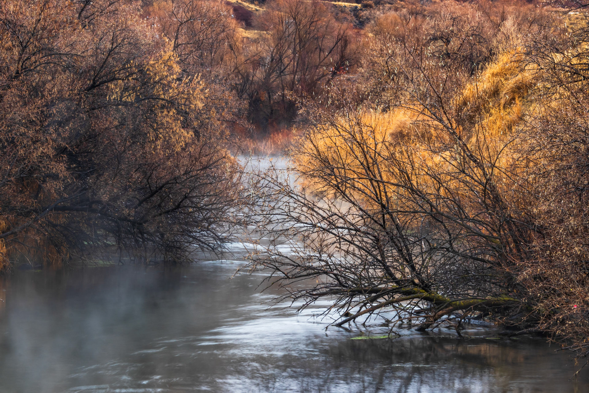 Misty Morning