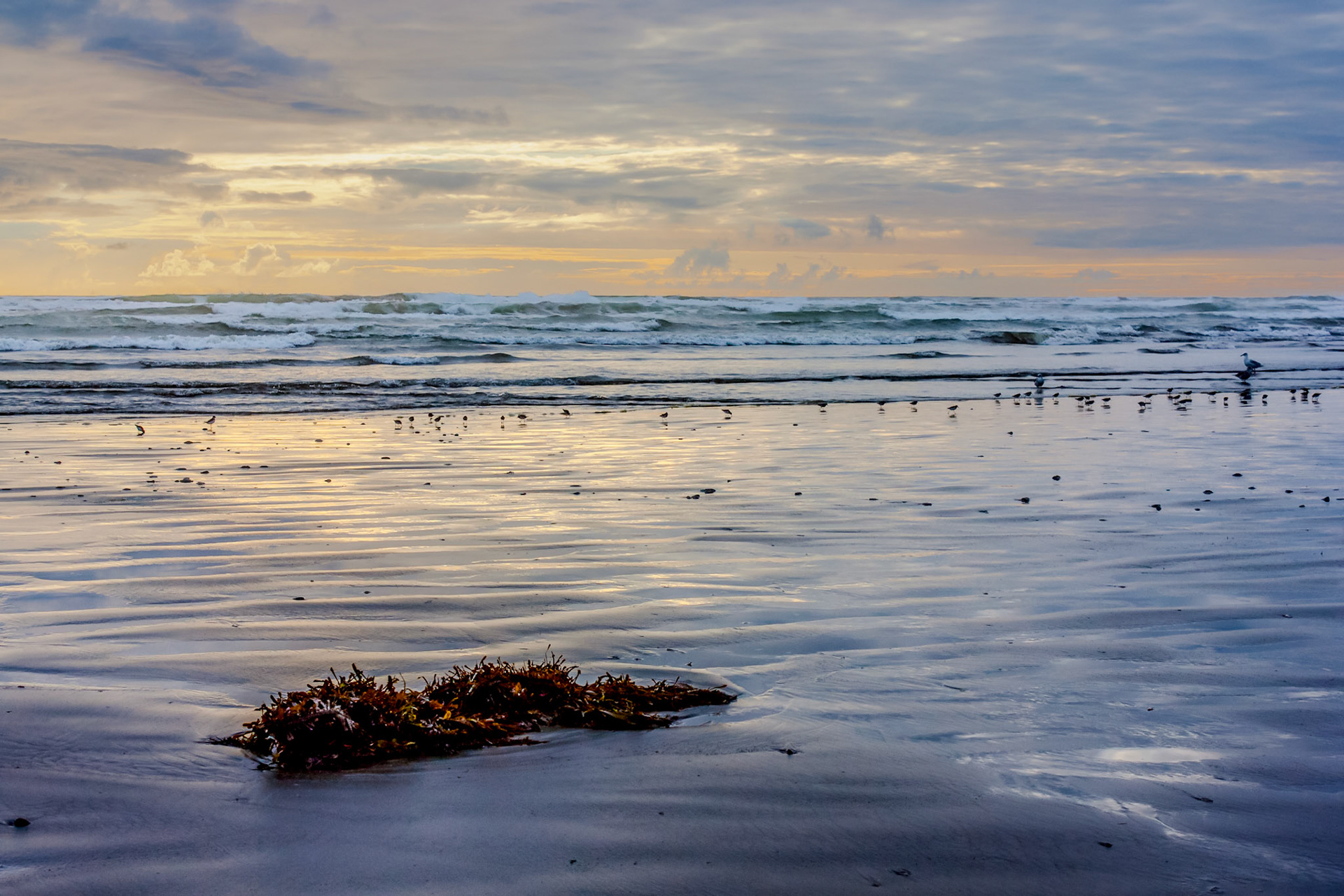 Long Beach Setting Sun