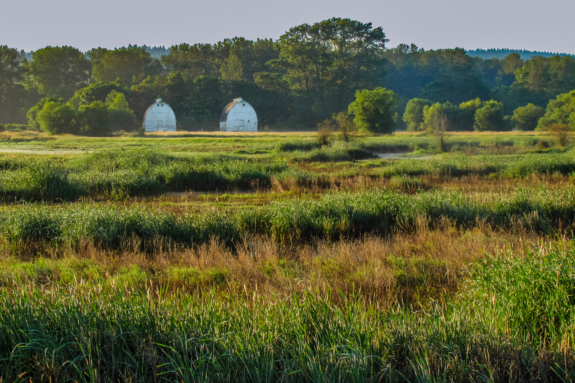 Twin Barns on a July morning