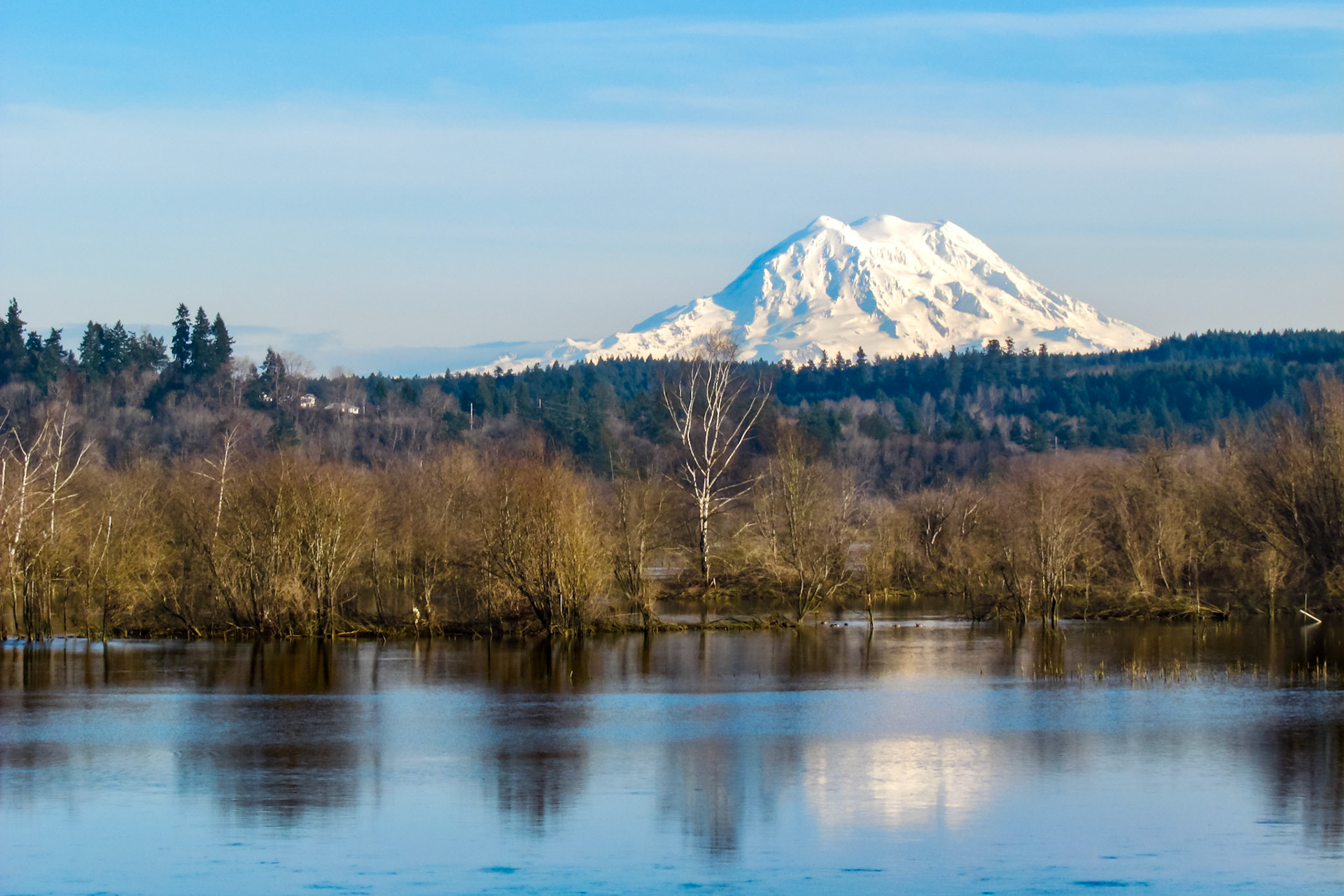 Mt. Rainier over the Delta