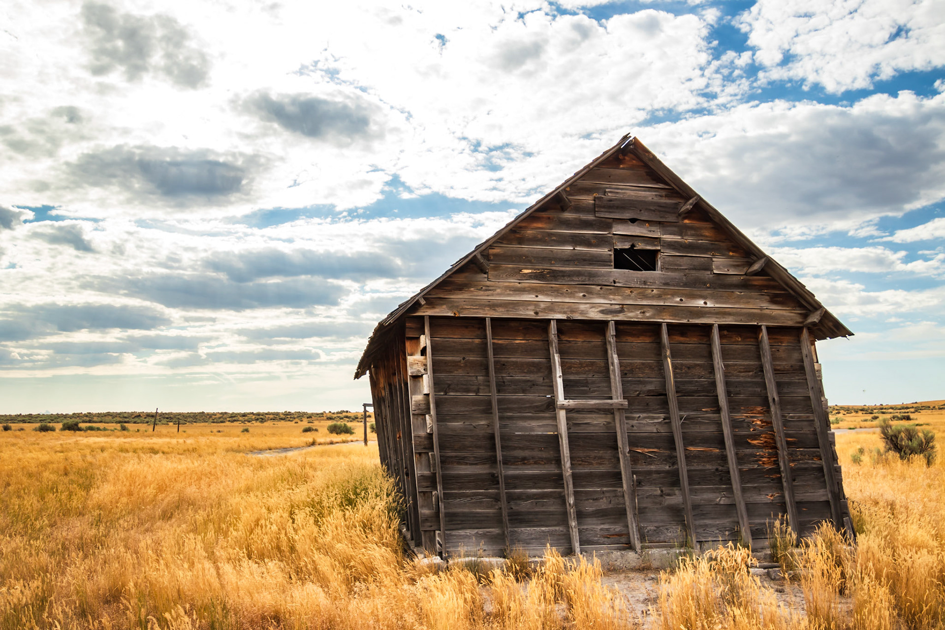 Leaning Shed #2