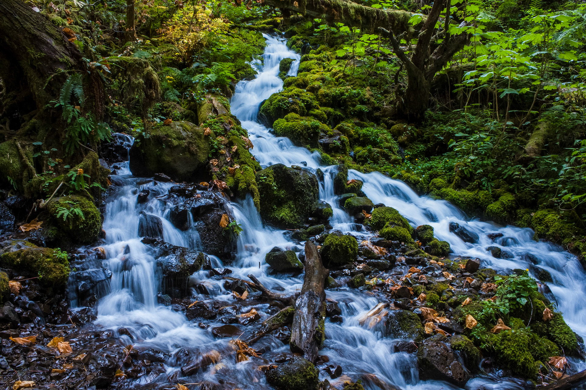 Quiet Waterfall
