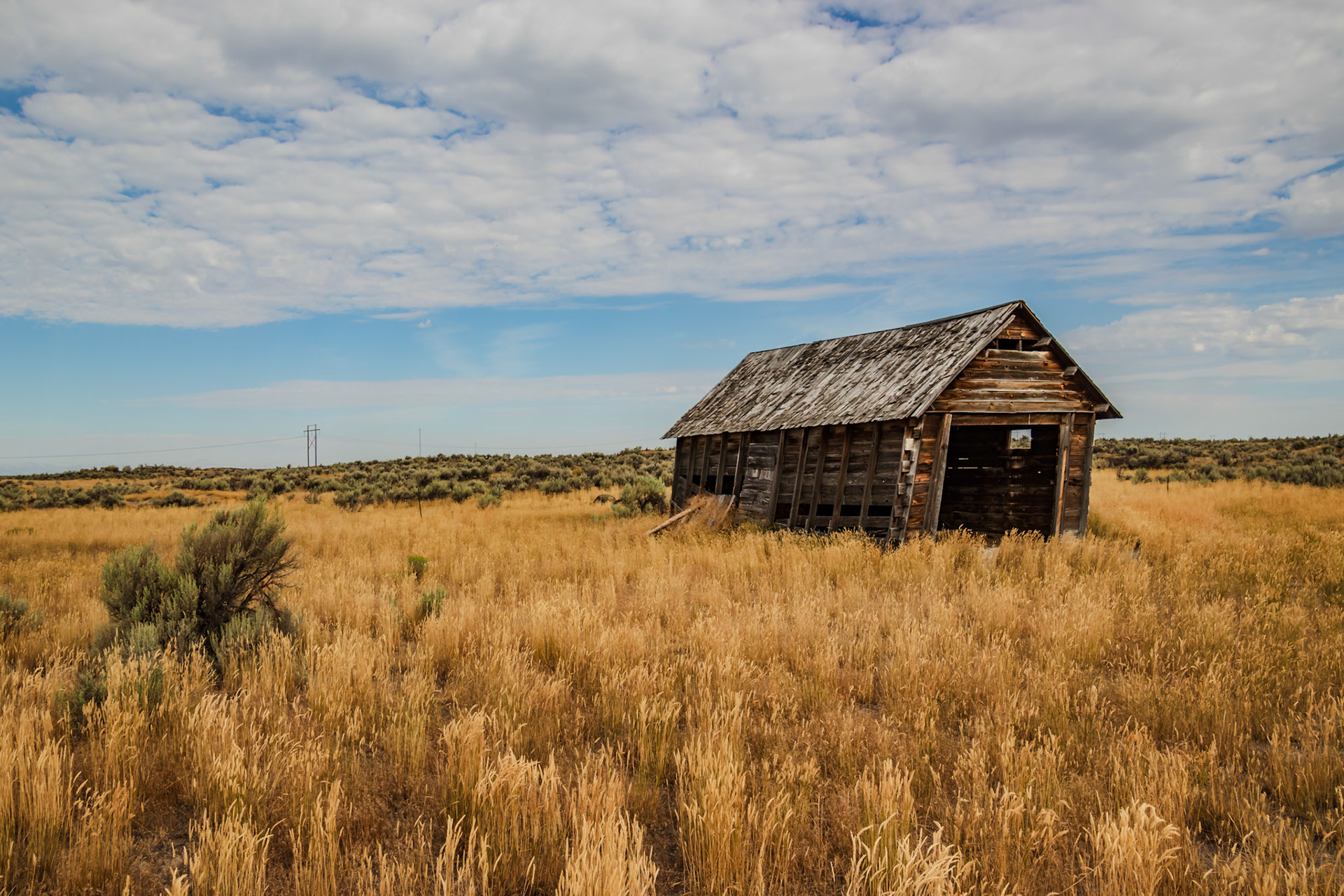 Leaning Shed