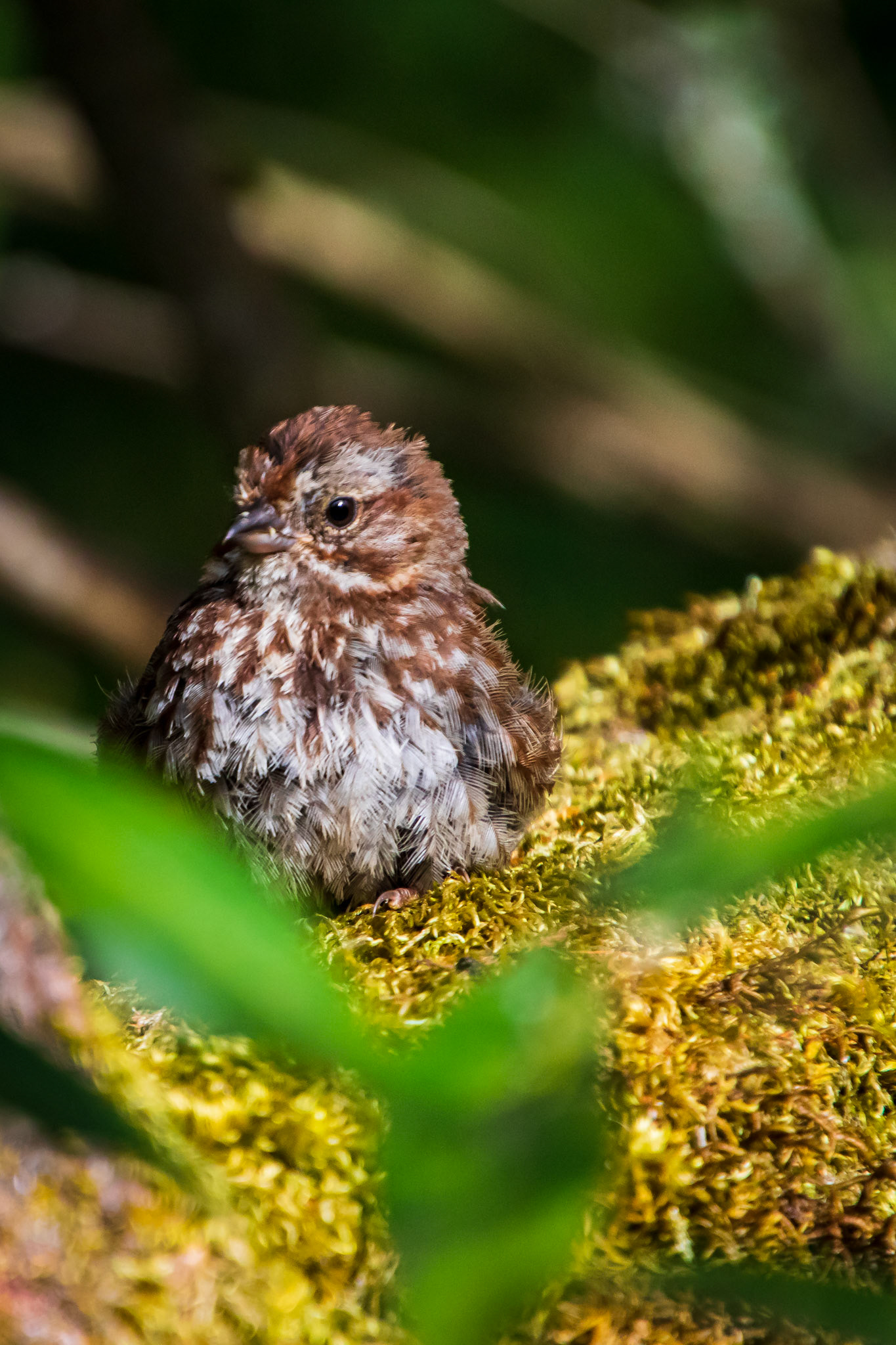 Tiny one