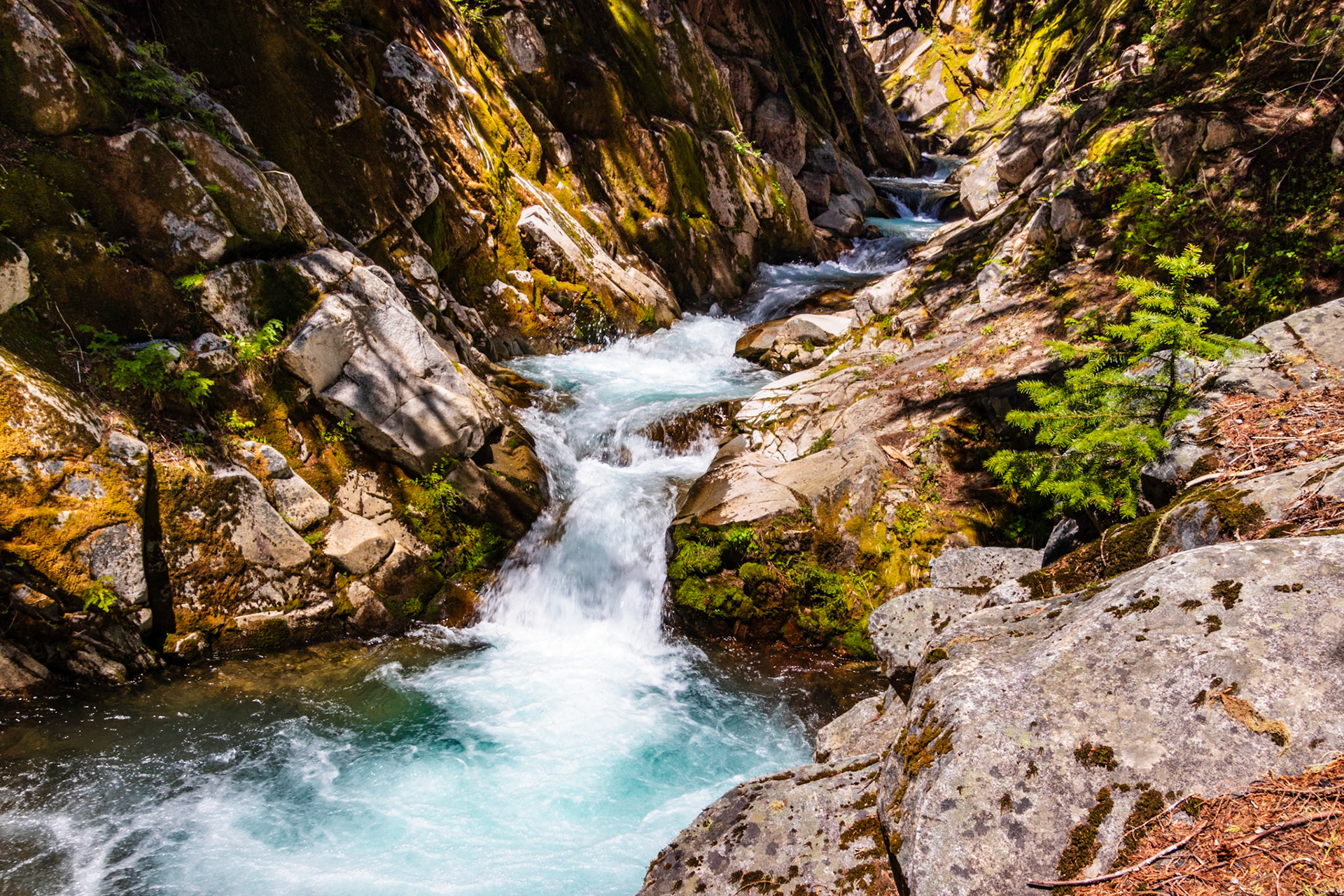 Pools in Mt. Rainier National Park, WA
