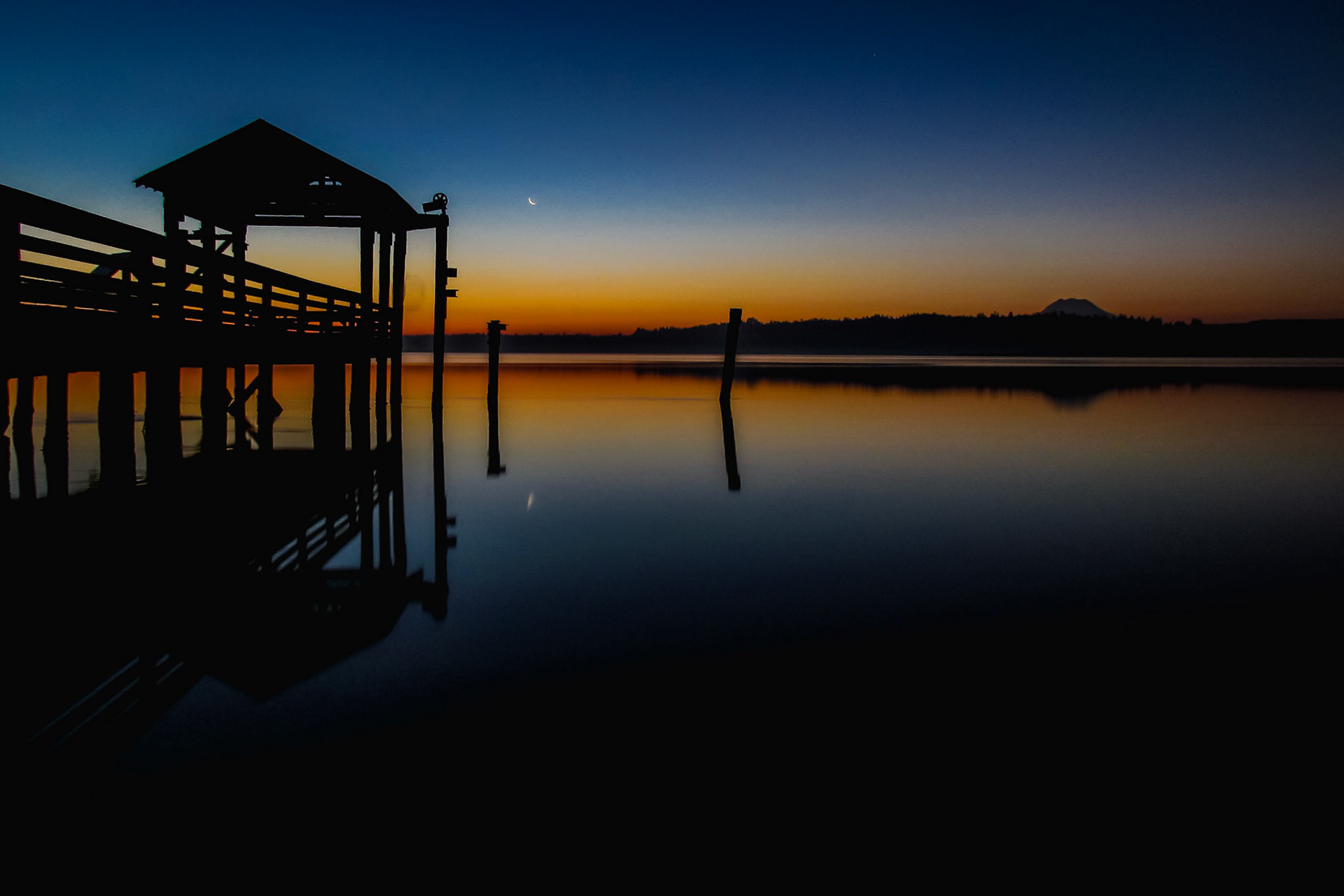 Nisqually River Delta Silhouette