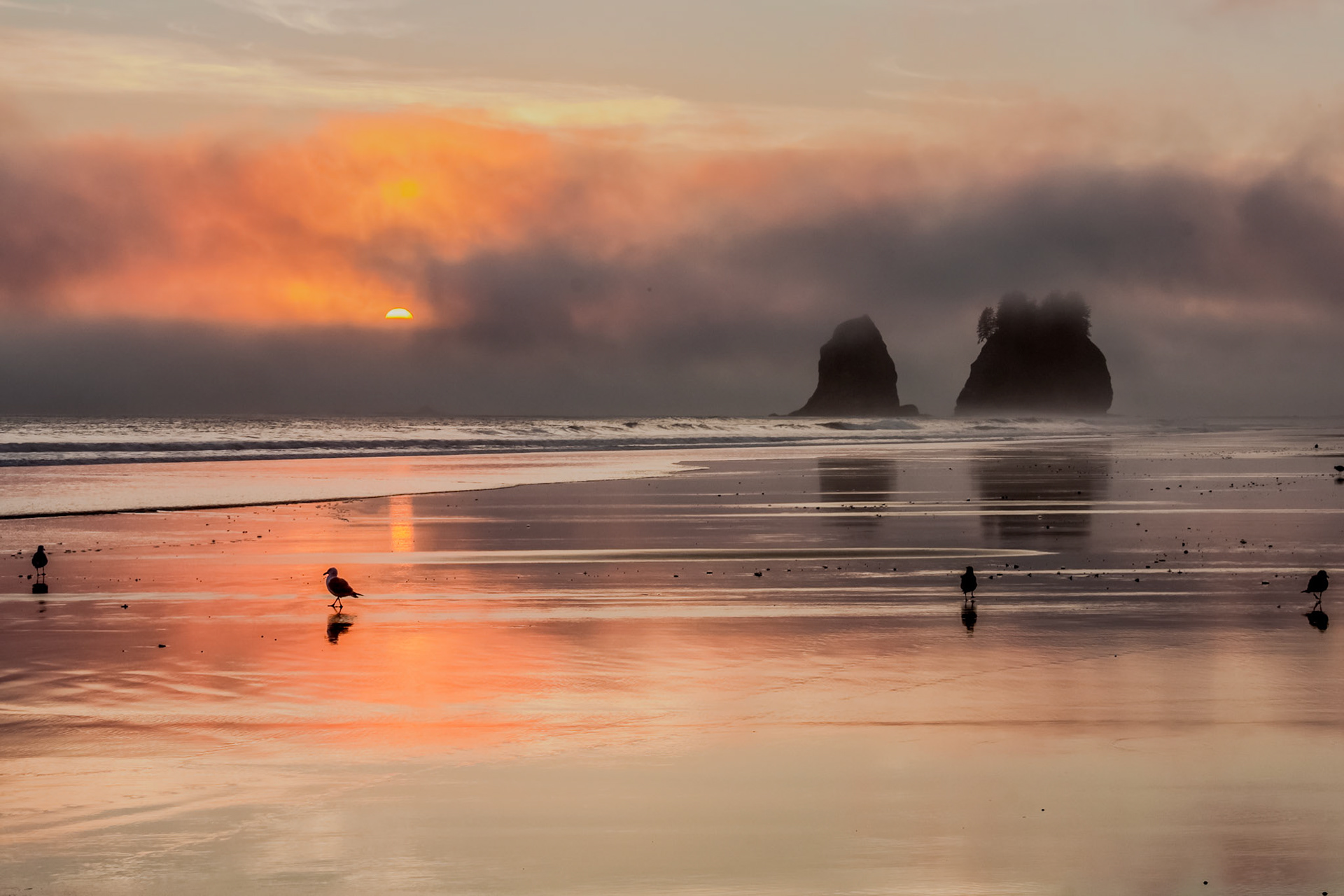 Gulls and Sea Stacks