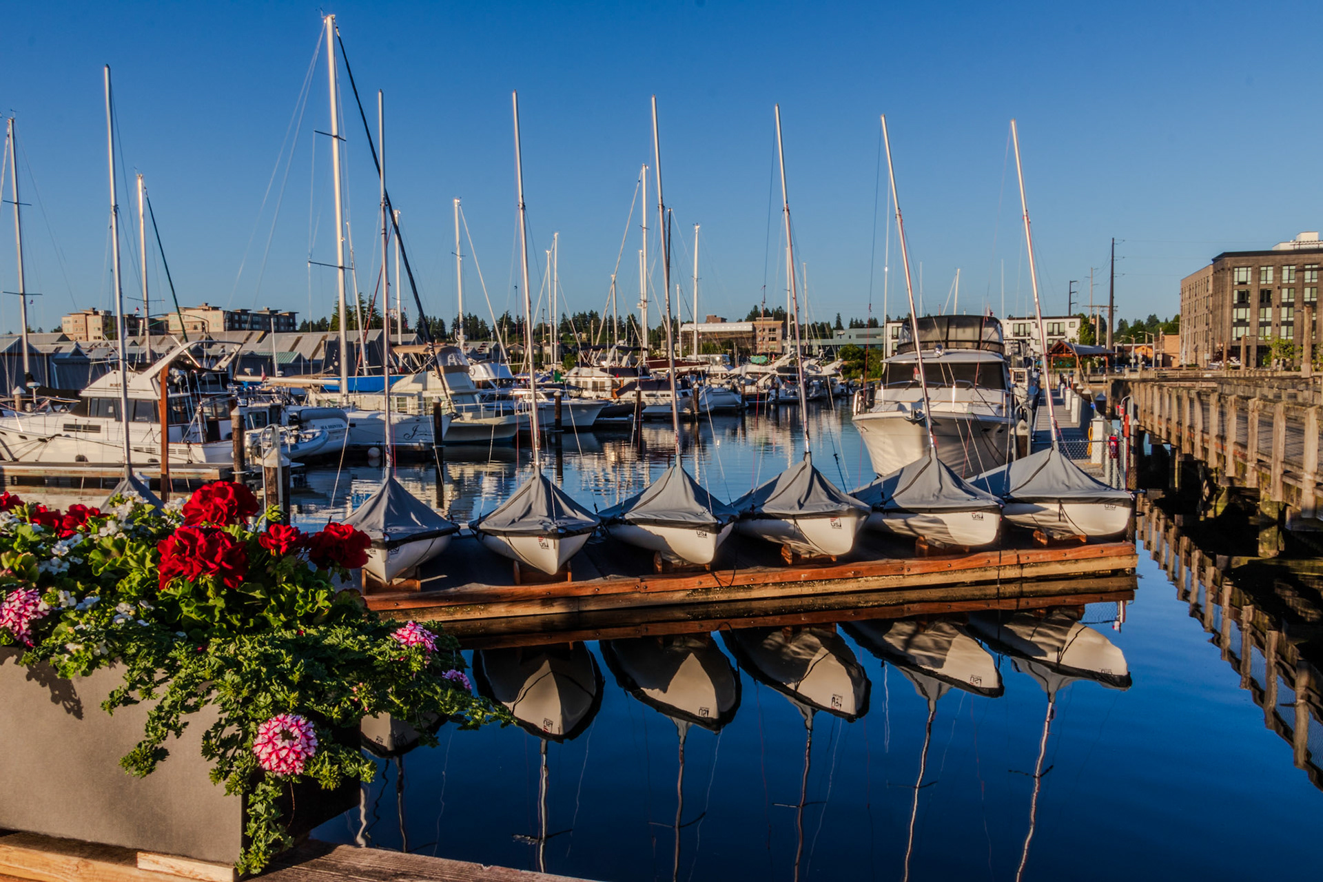 Olympia Yacht Club
