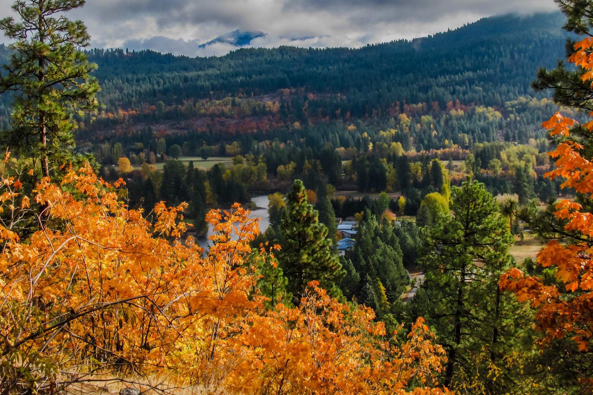 Icicle Trail View
