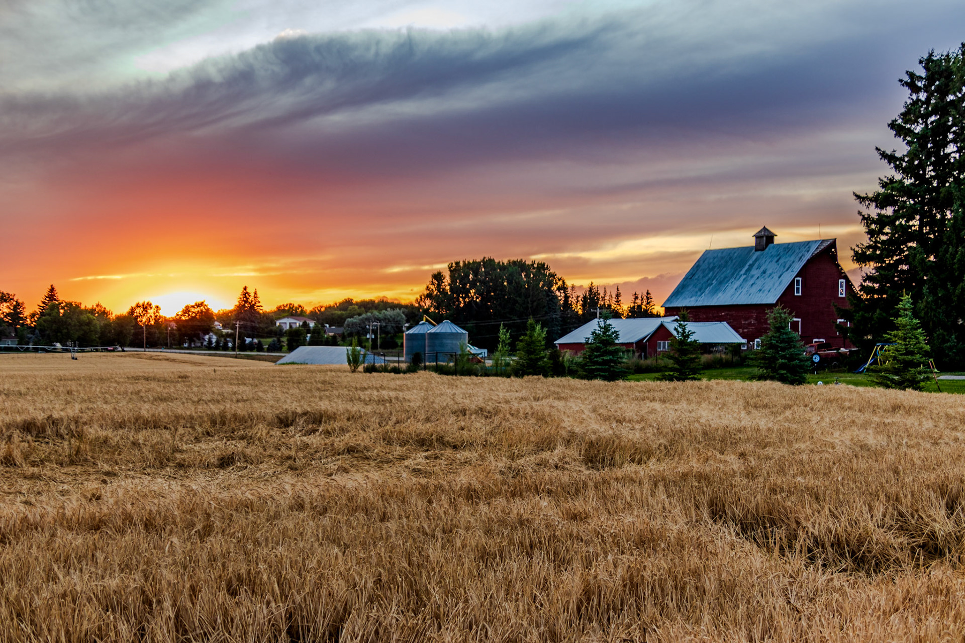 Barn and Wheatfields at Sunset