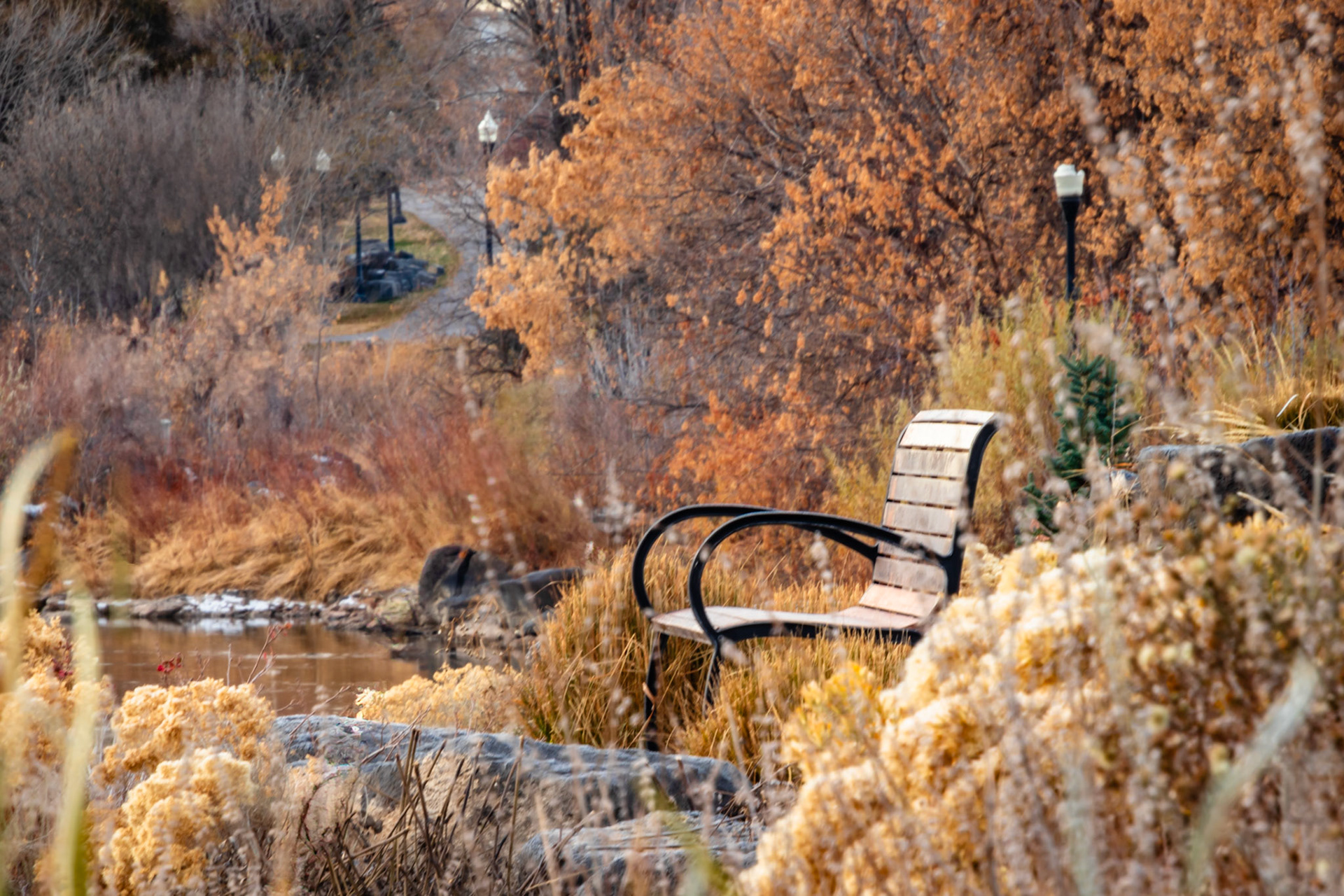 Autumn Resting Place