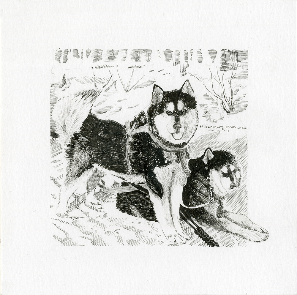 Dog Sled Series Image 1, Inking, 5x5