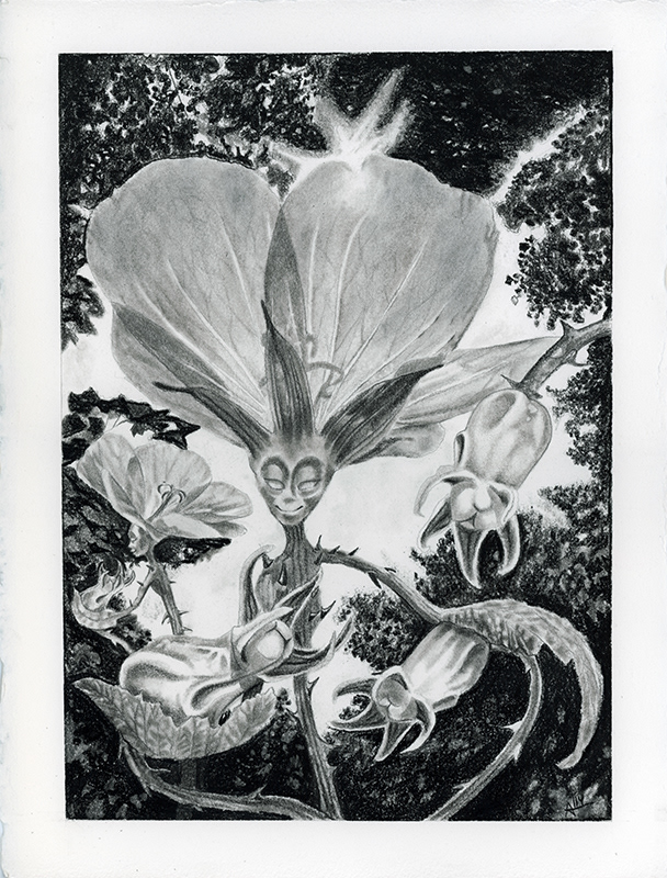 Rose and Her Rosehip Dragons / Graphite