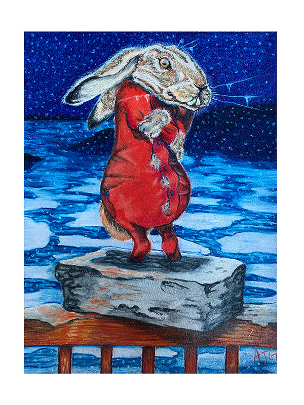 Cold Hare / Color Pencil