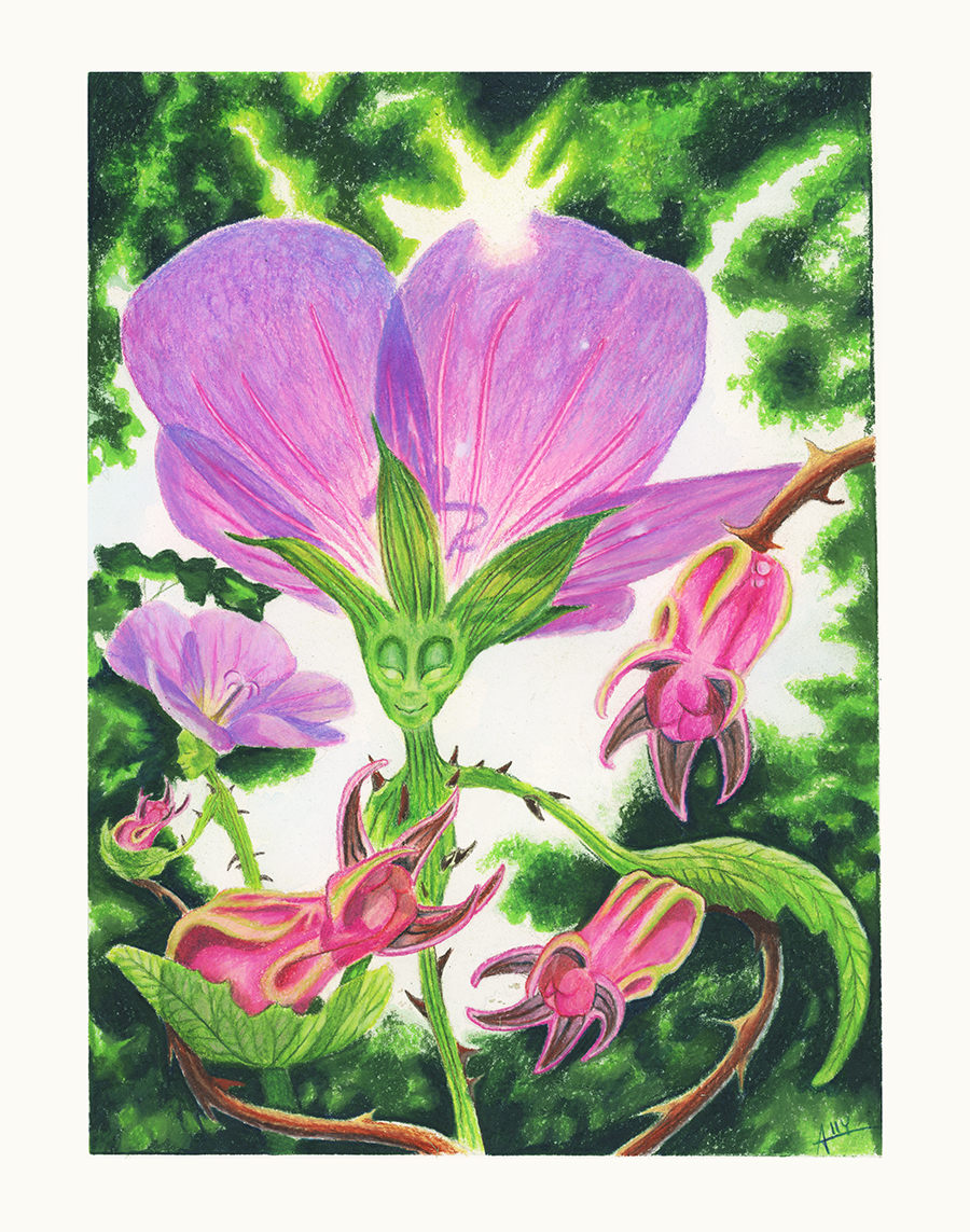 Rose and Her Rosehip Dragons / Color Pencil