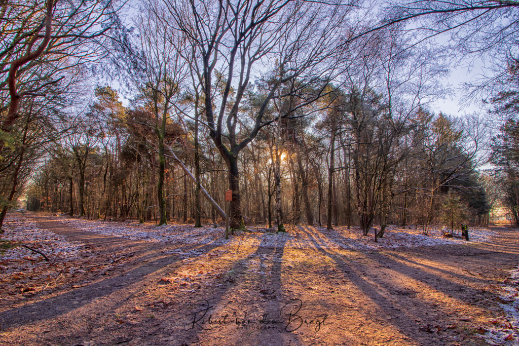 sunshine in the winter at the Son 