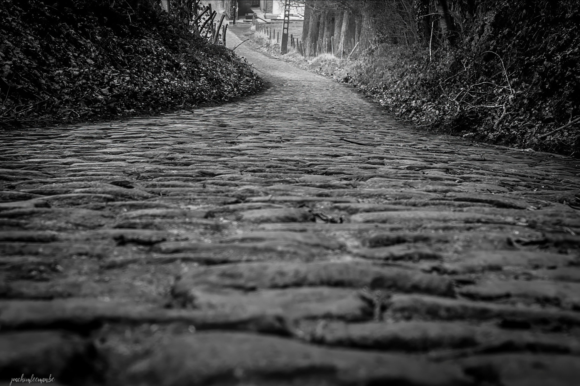 Koppenberg