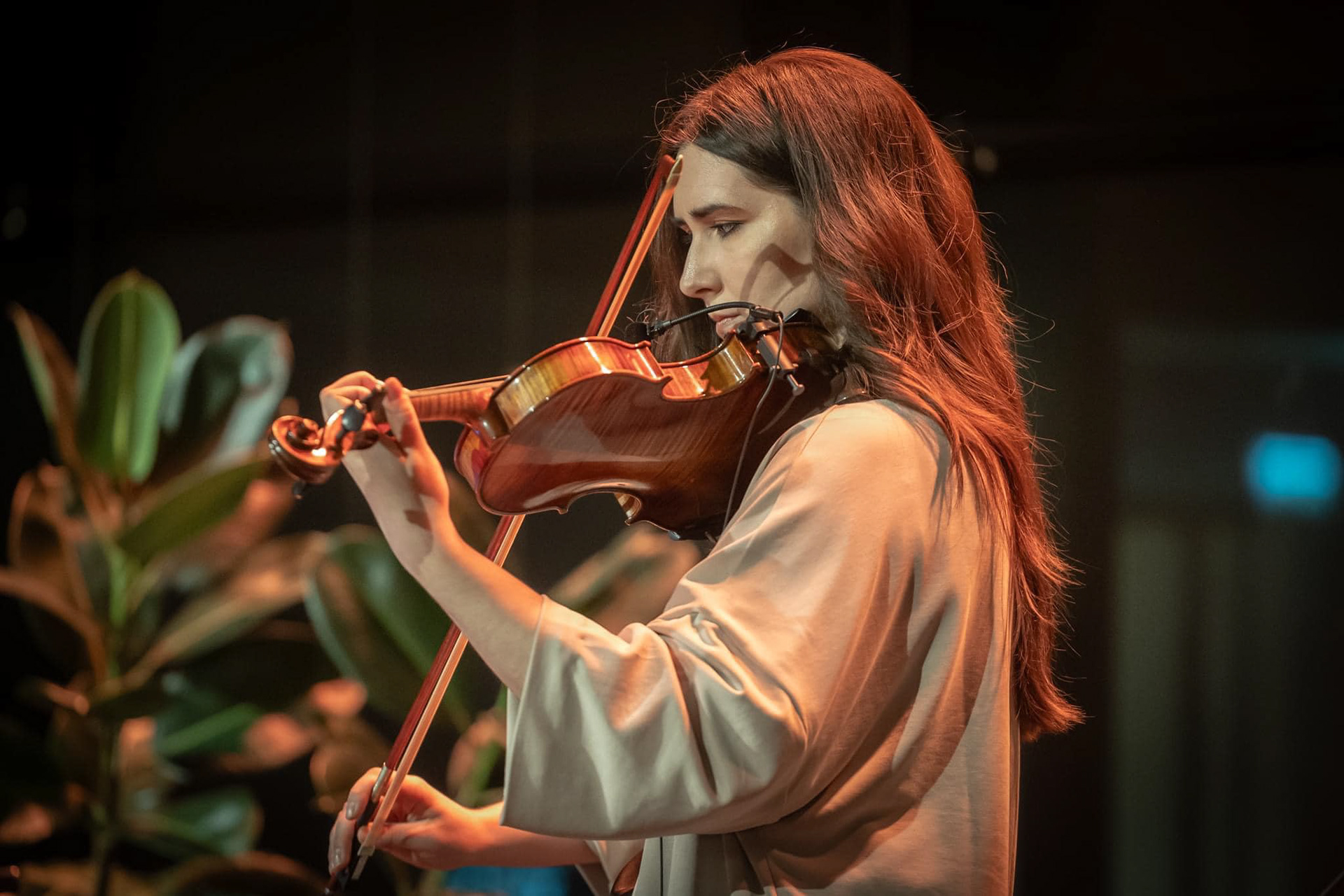 European Poet of Freedom Festival