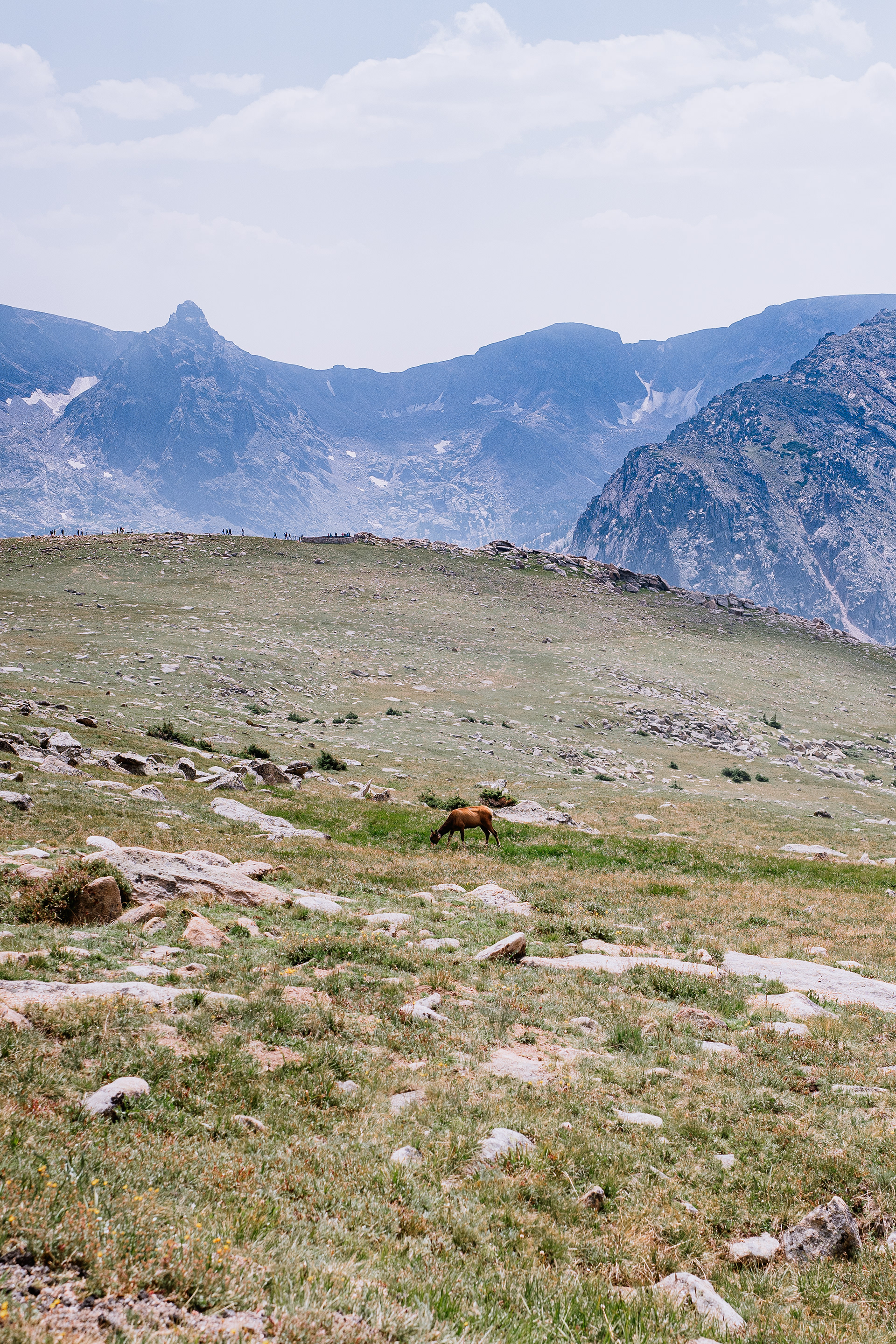 Rocky Mountain National Park, CO