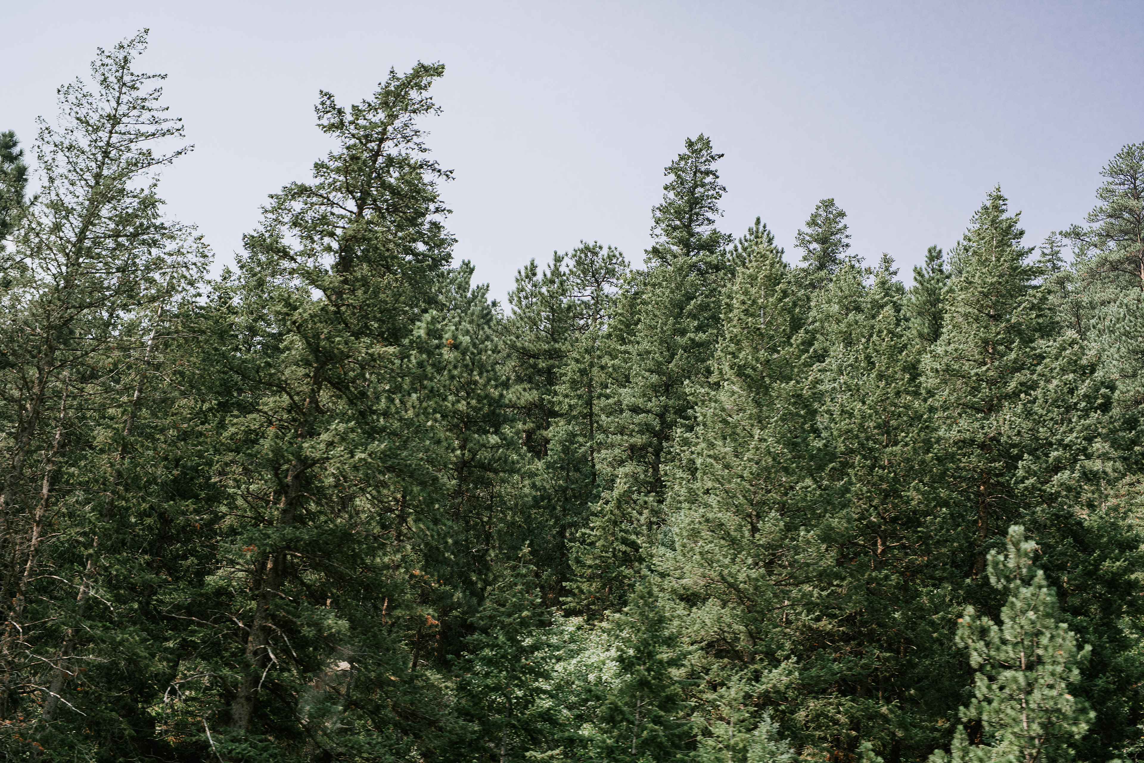 Rocky Mountain National Park, CO