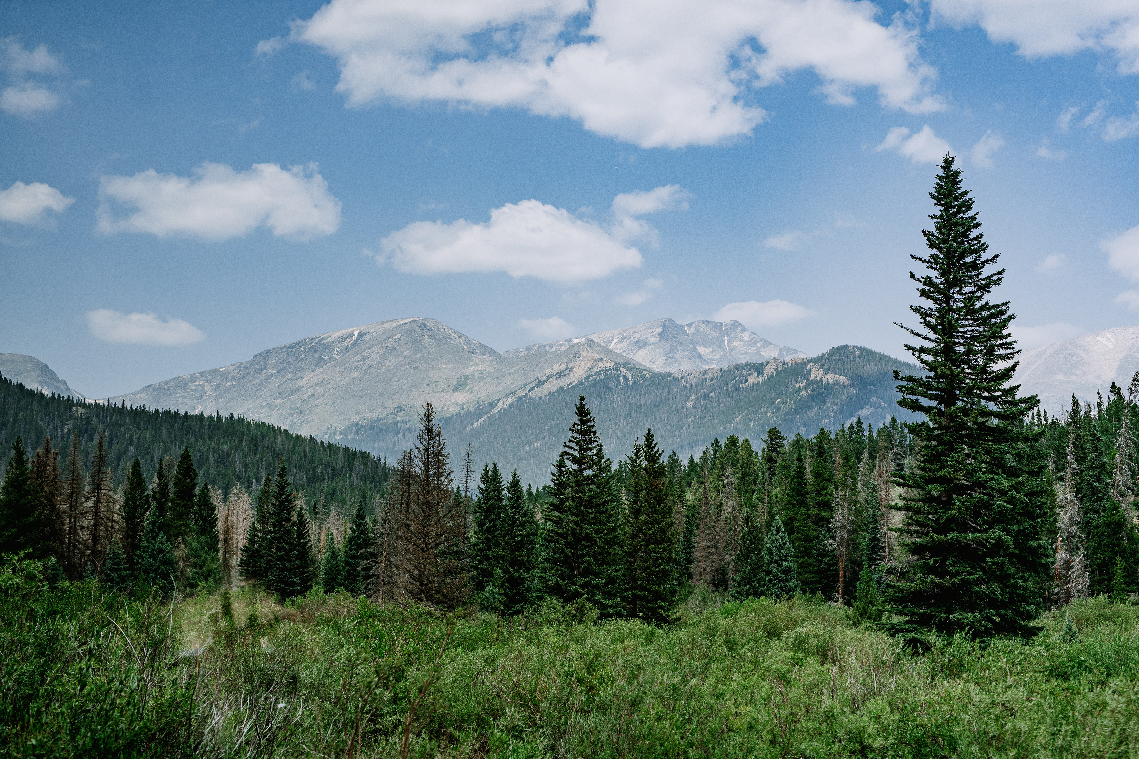 Rocky Mountain National Park, CO