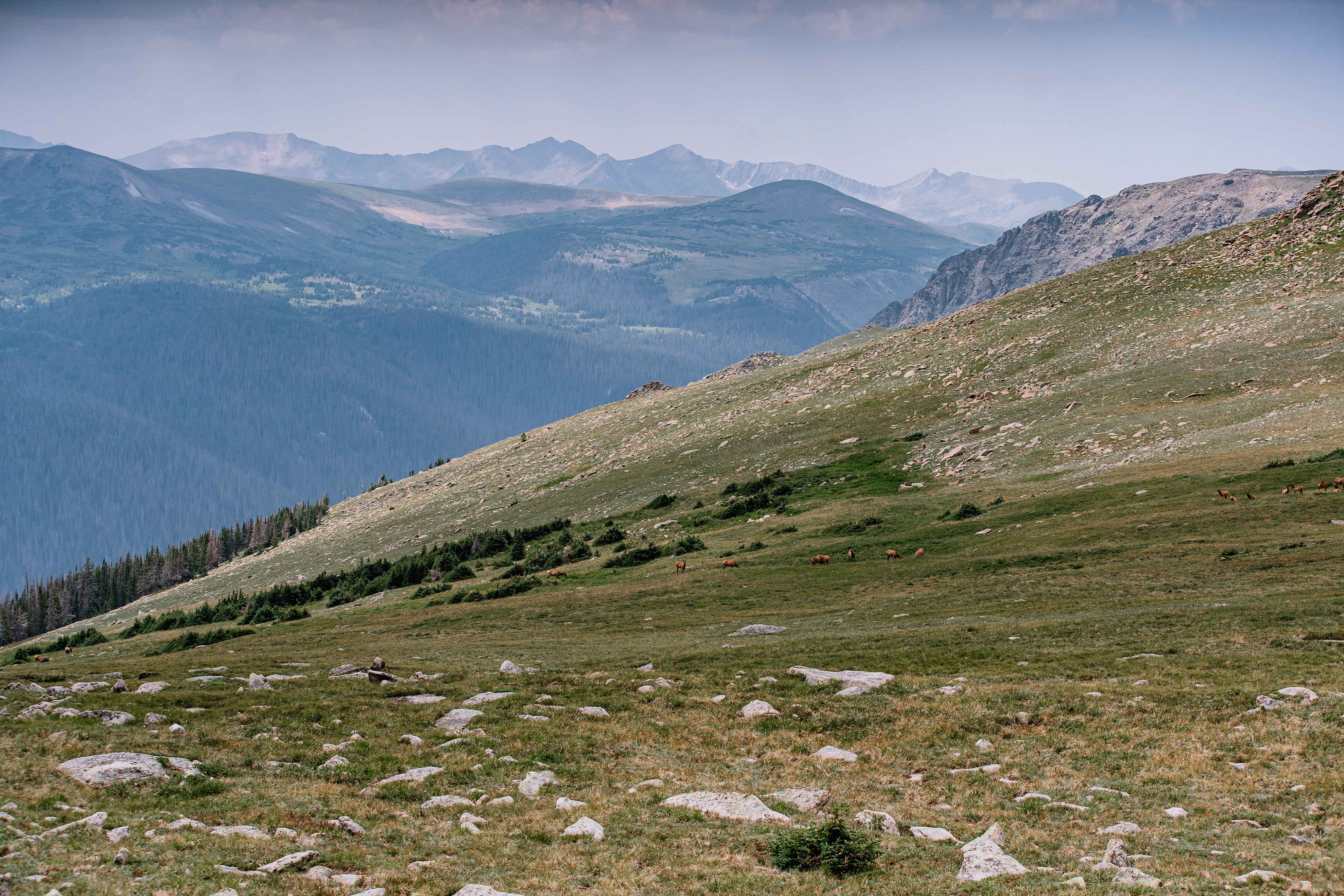 Rocky Mountain National Park, CO