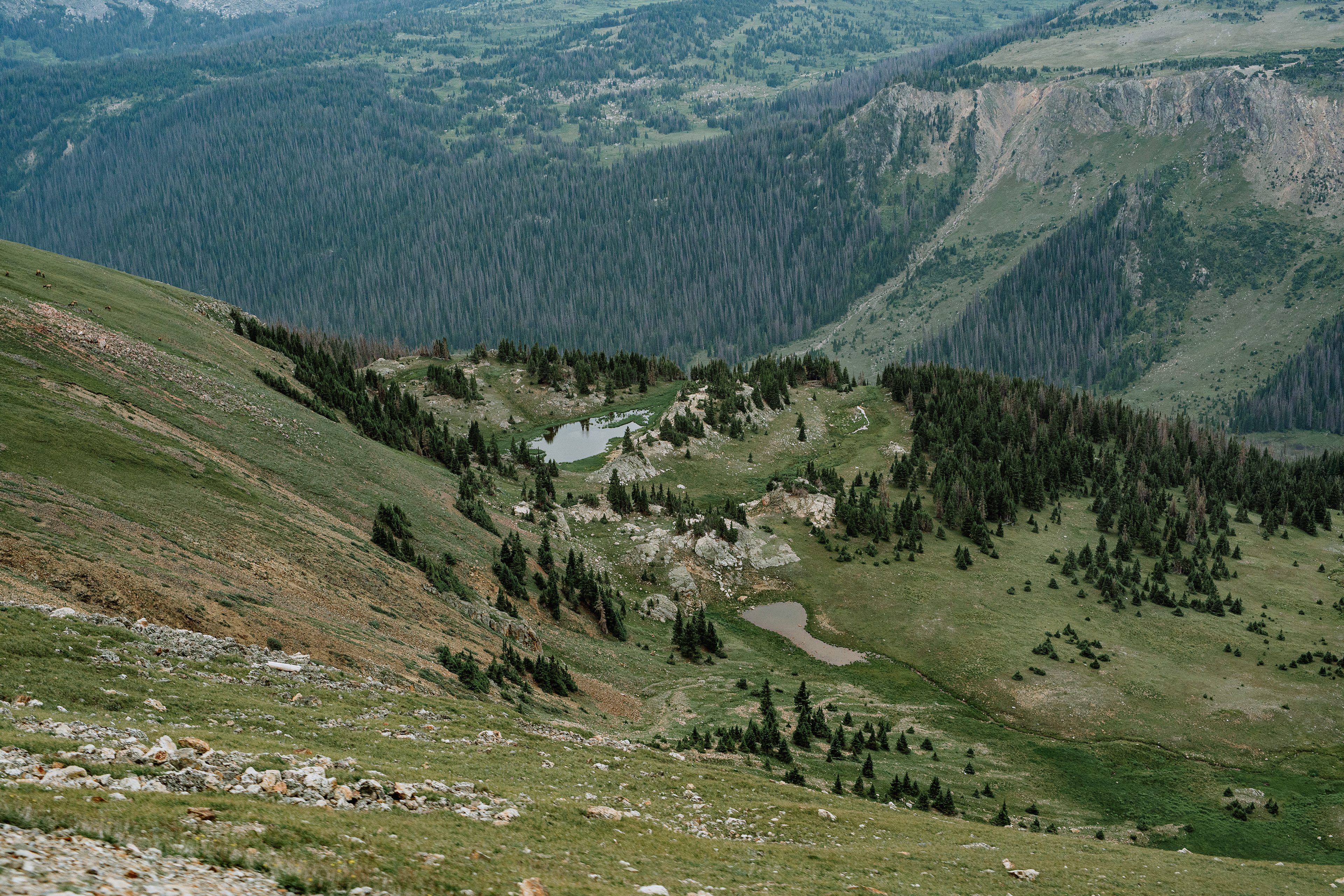 Rocky Mountain National Park, CO