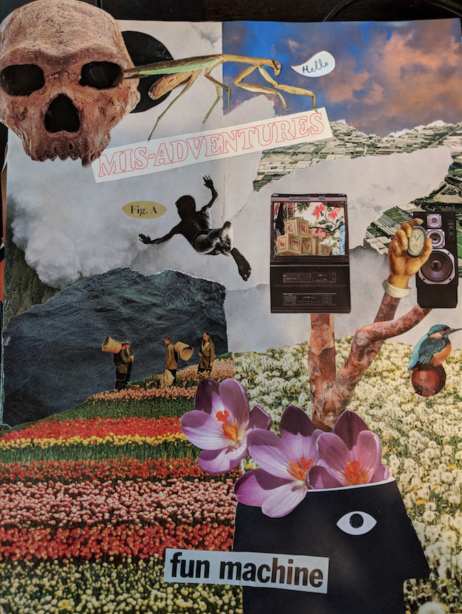 "Hello World, I'm Rook" - Collage.