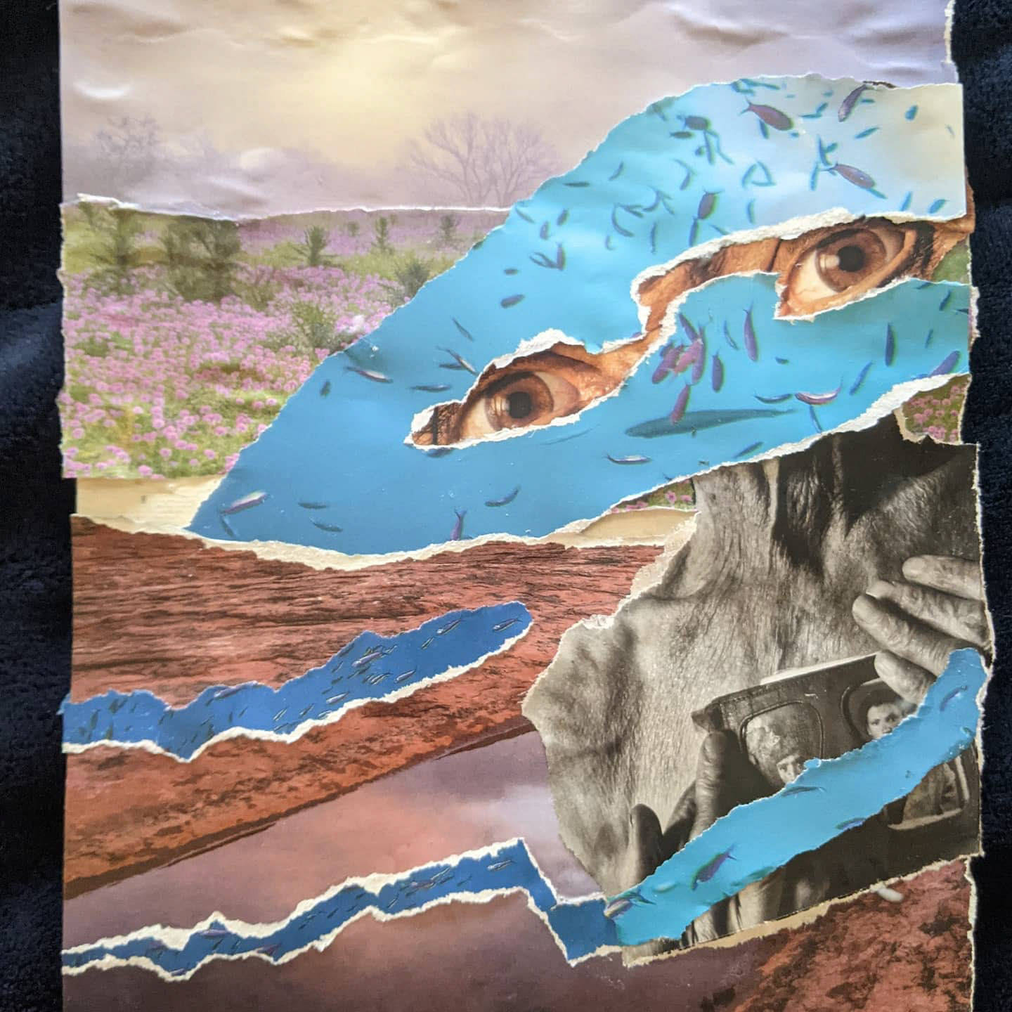 "elder gaze" - Collage.